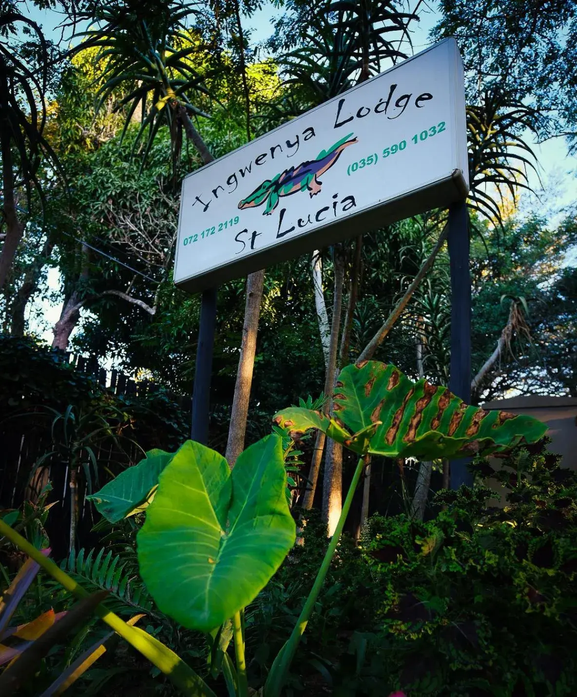 Ingwenya Lodge Ingwenya Lodge