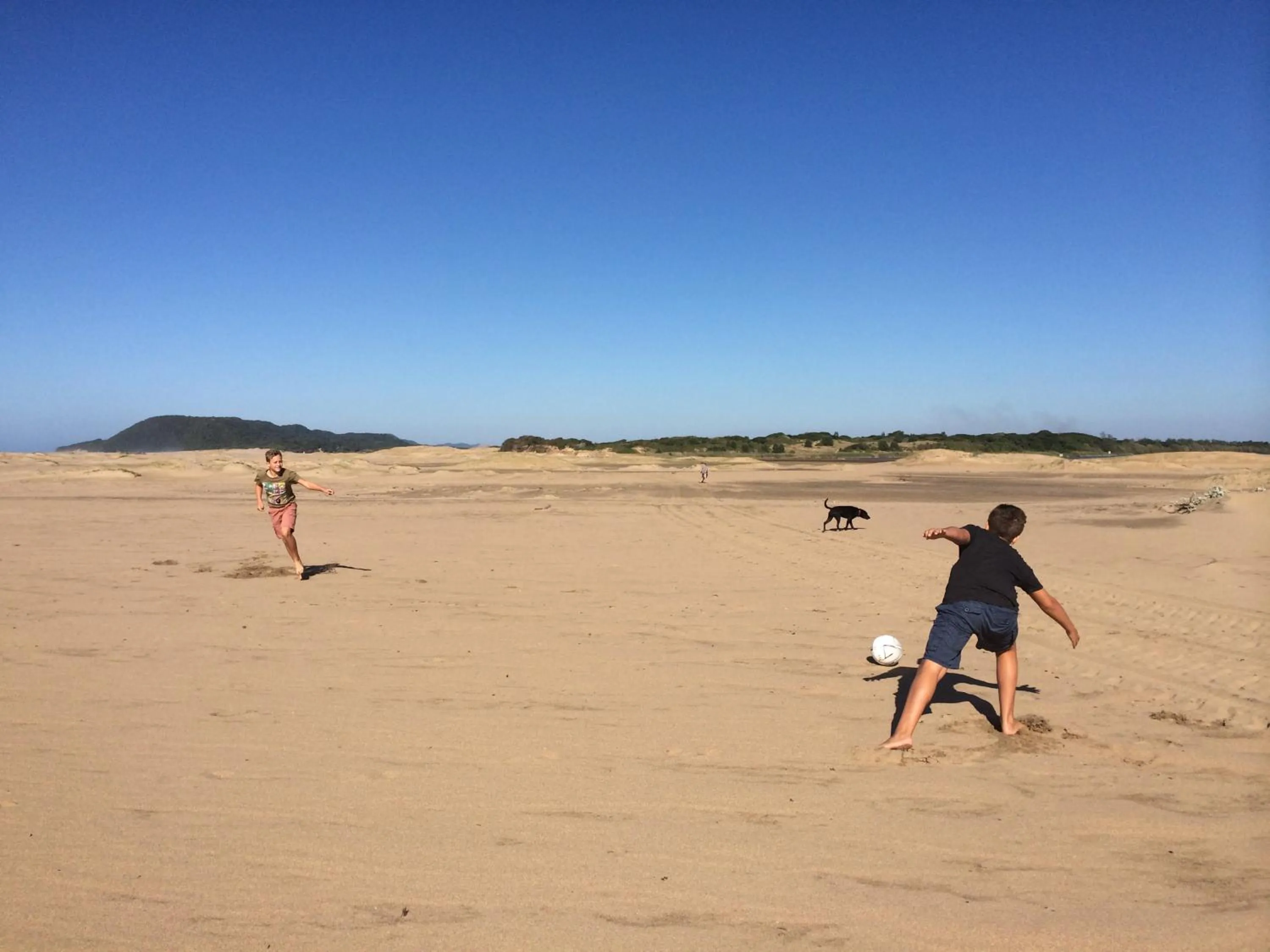 Day in Ingwenya Lodge