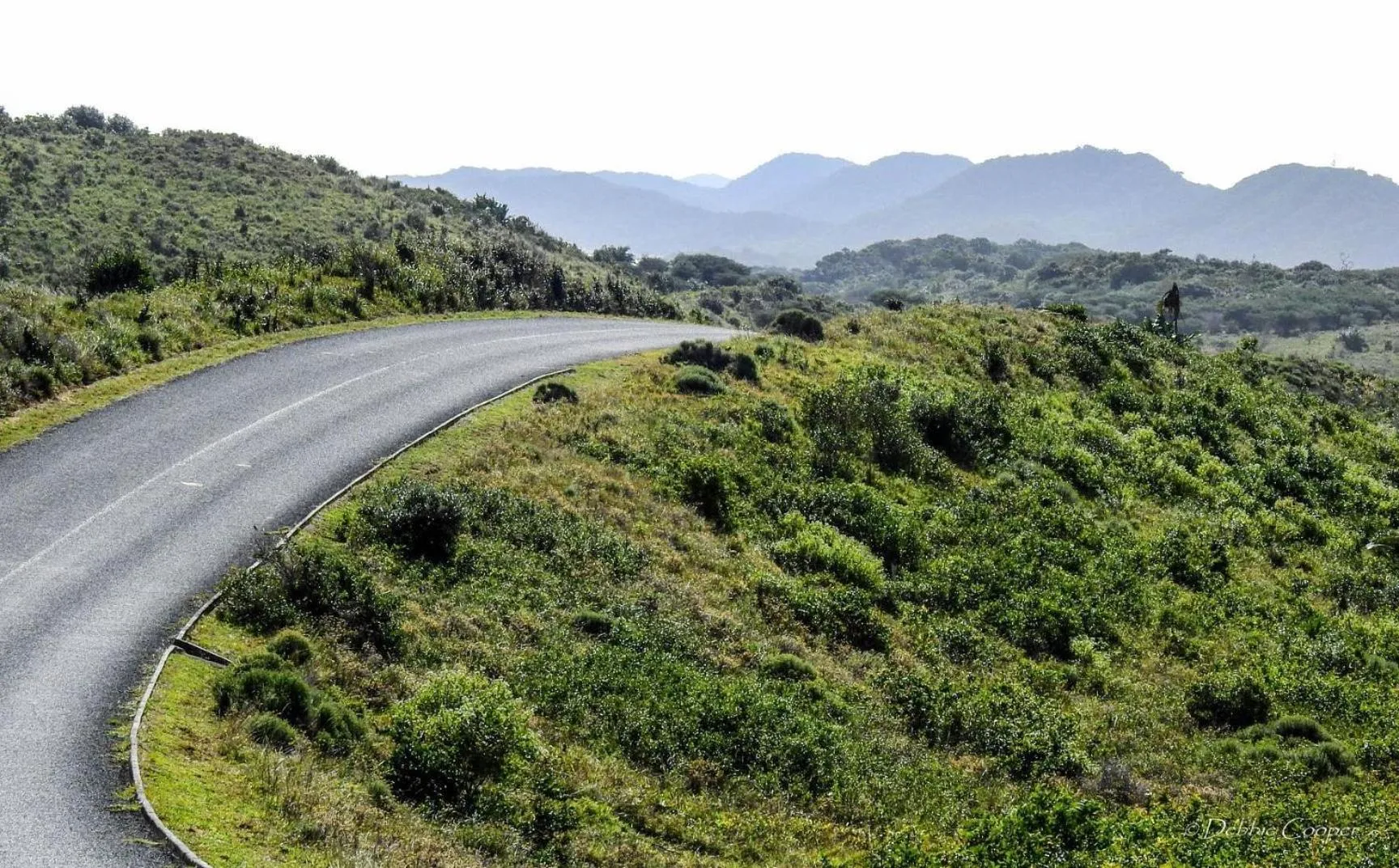 Natural landscape in Ingwenya Lodge