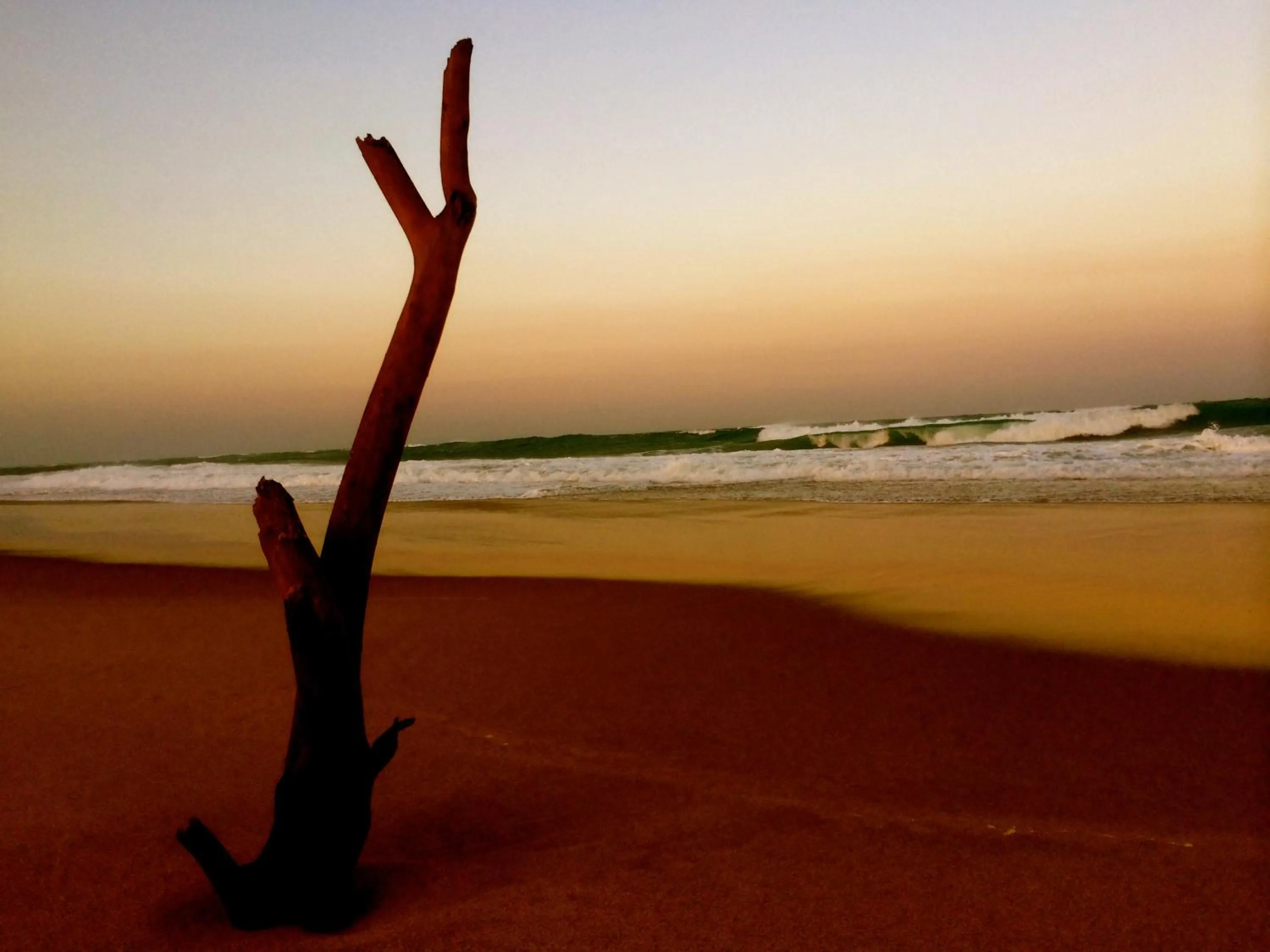 Natural landscape in Ingwenya Lodge