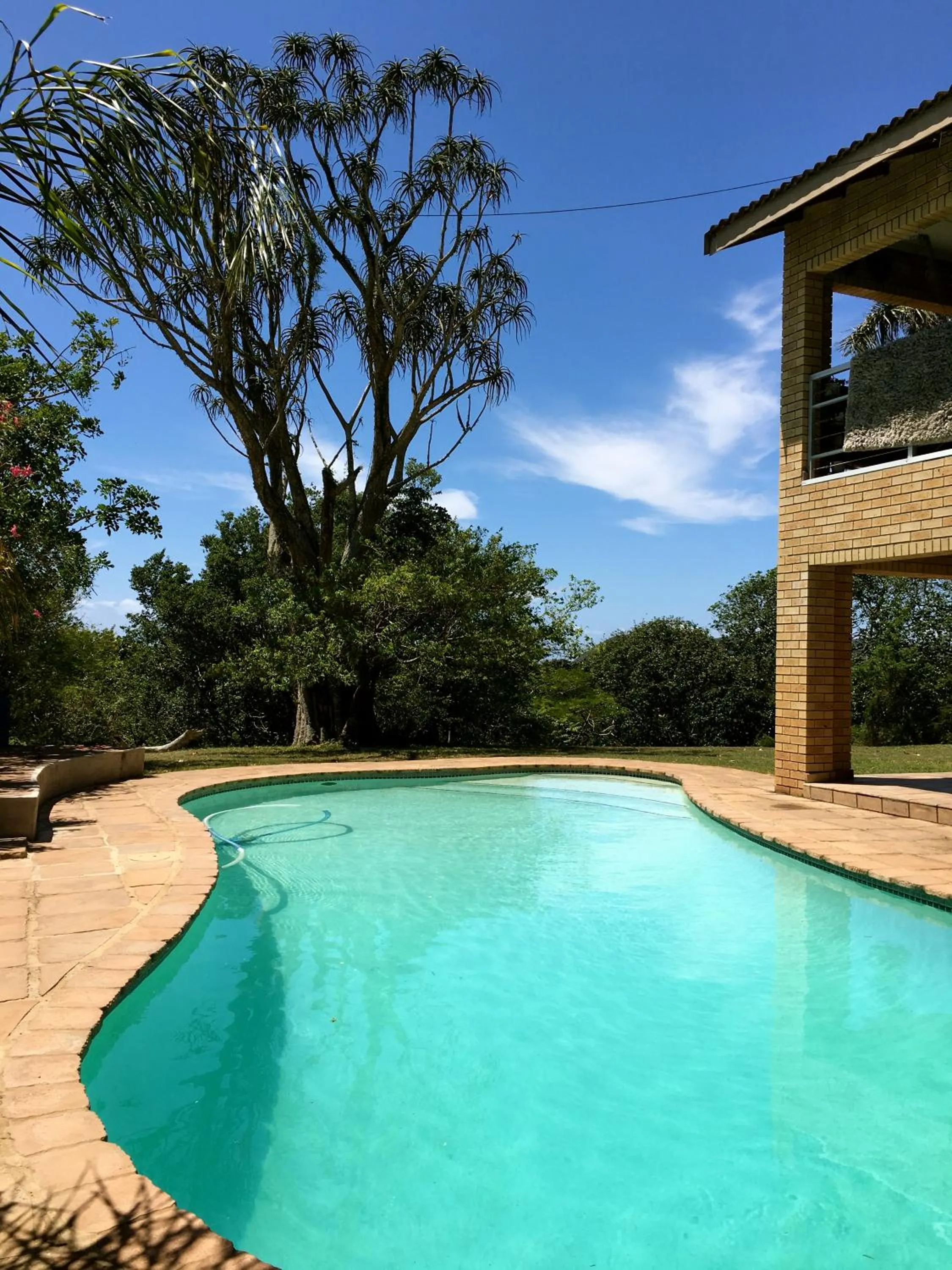 Day in Ingwenya Lodge