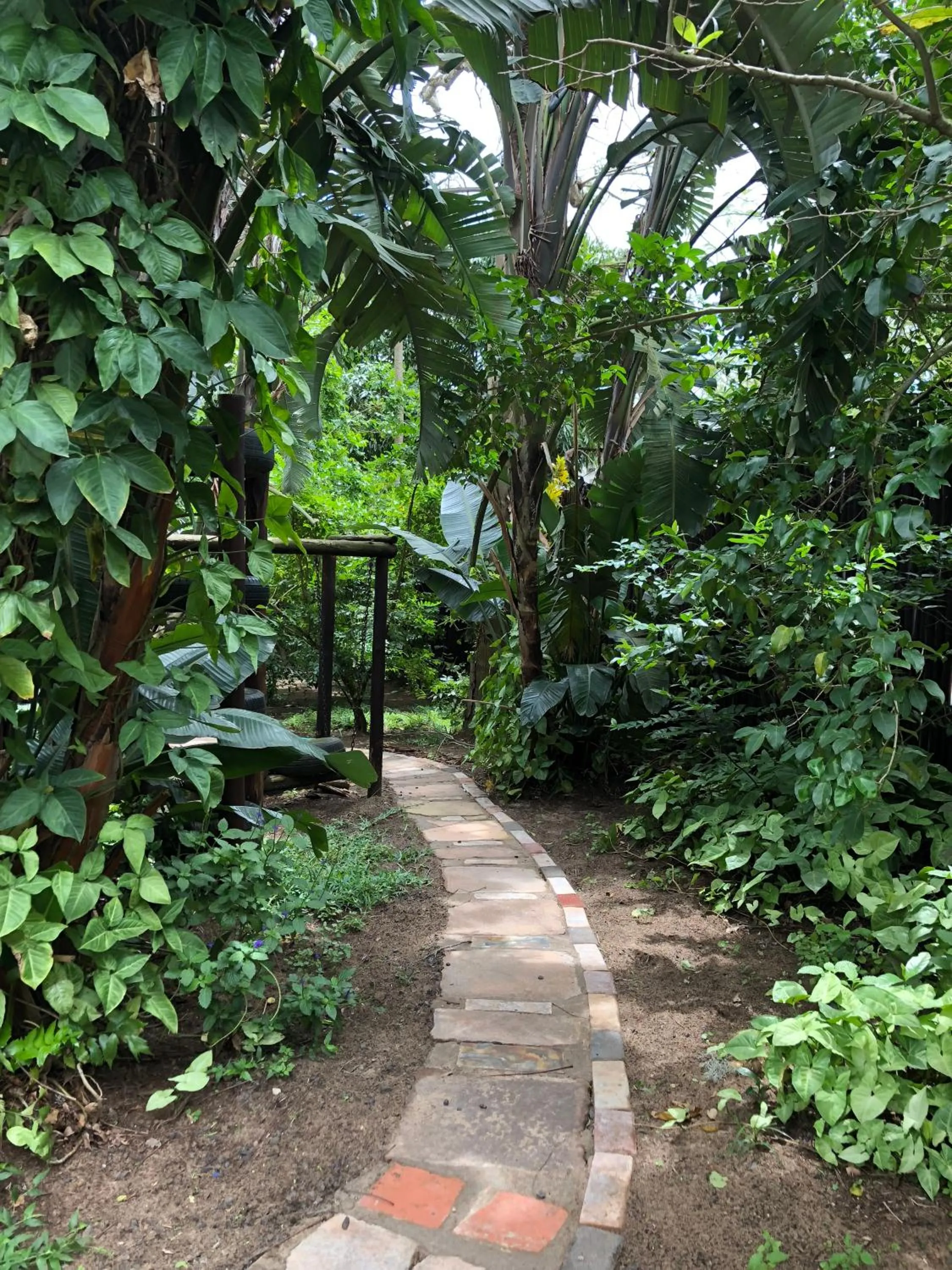 Area and facilities in Ingwenya Lodge