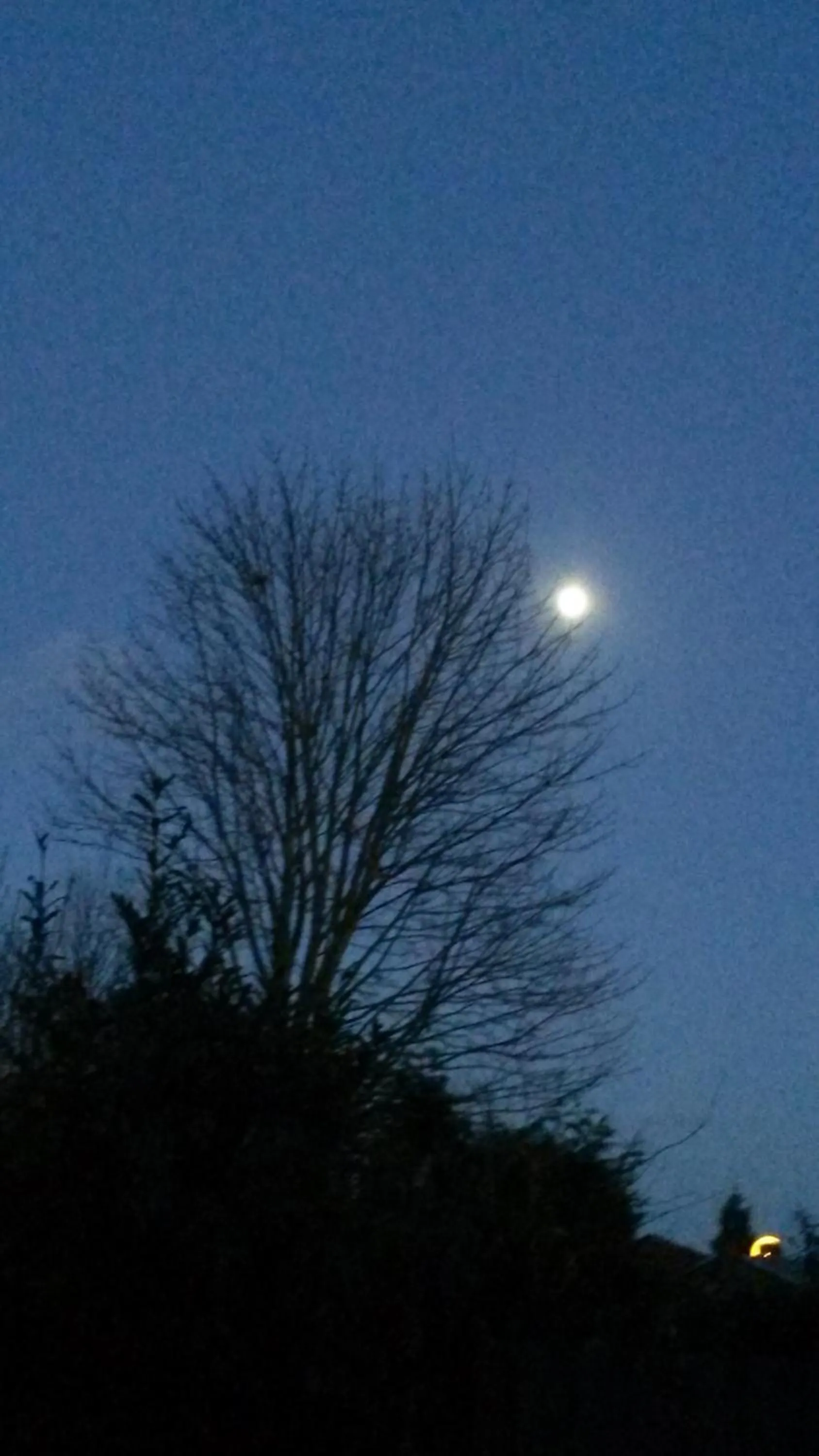 B&B aan de Limes in Maurik