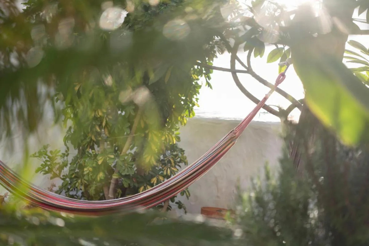 Casa emblemática Buenavista del Norte