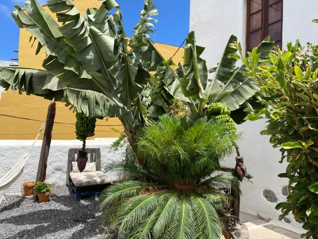 Patio in Casa emblemática Buenavista del Norte