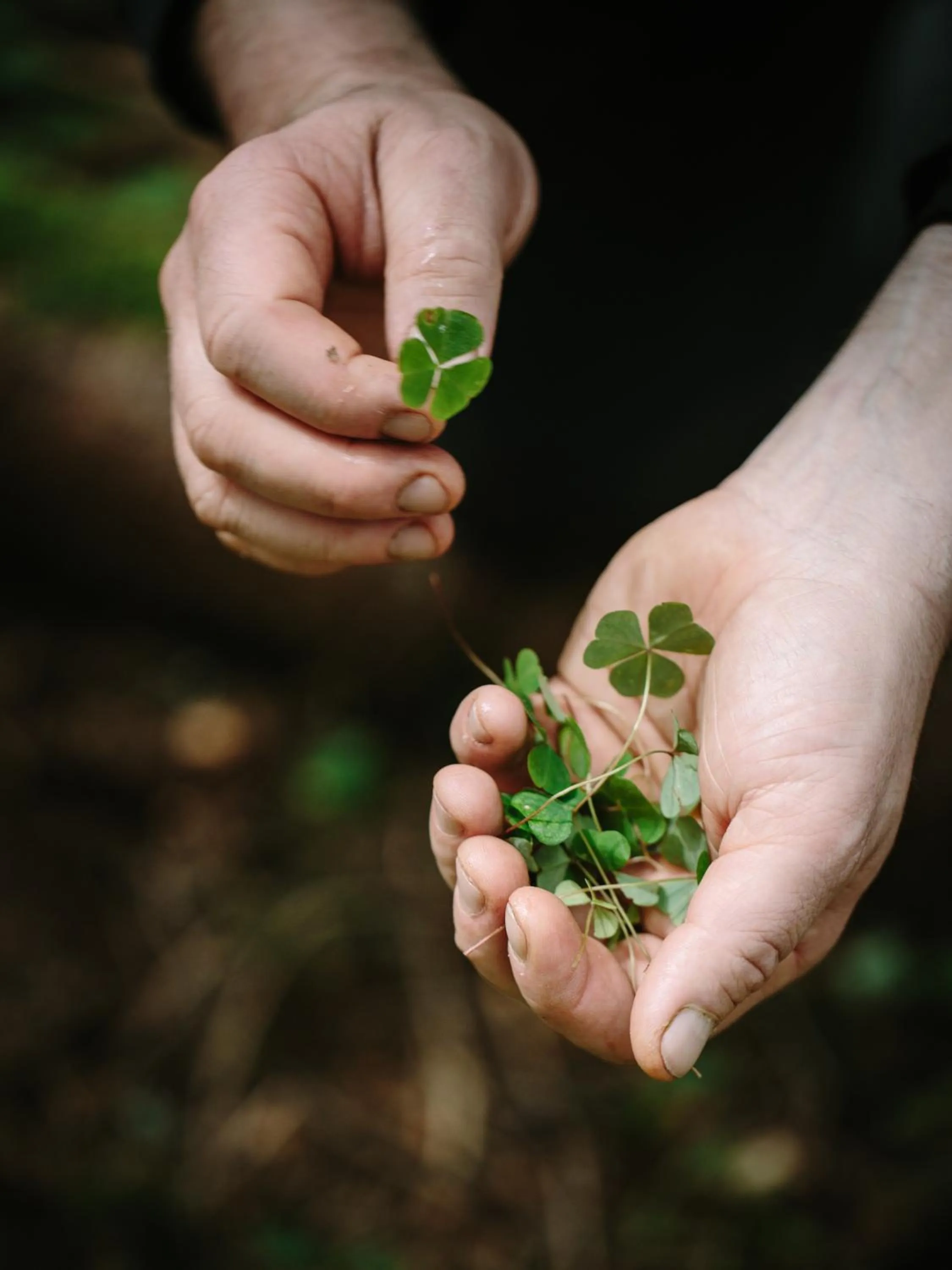 Food in Terra - The Magic Place Relais & Châteaux