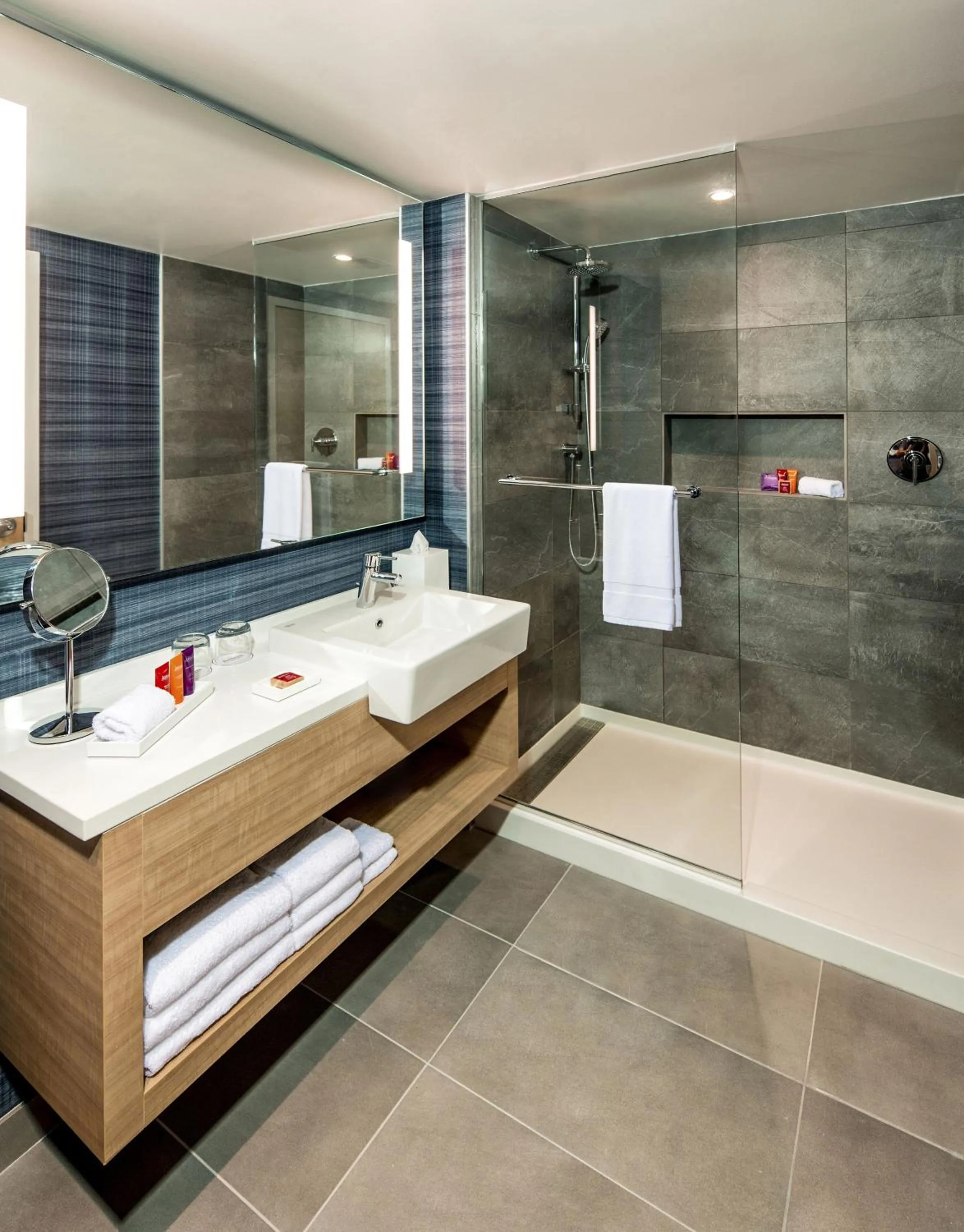 Shower in Novotel Miami Brickell