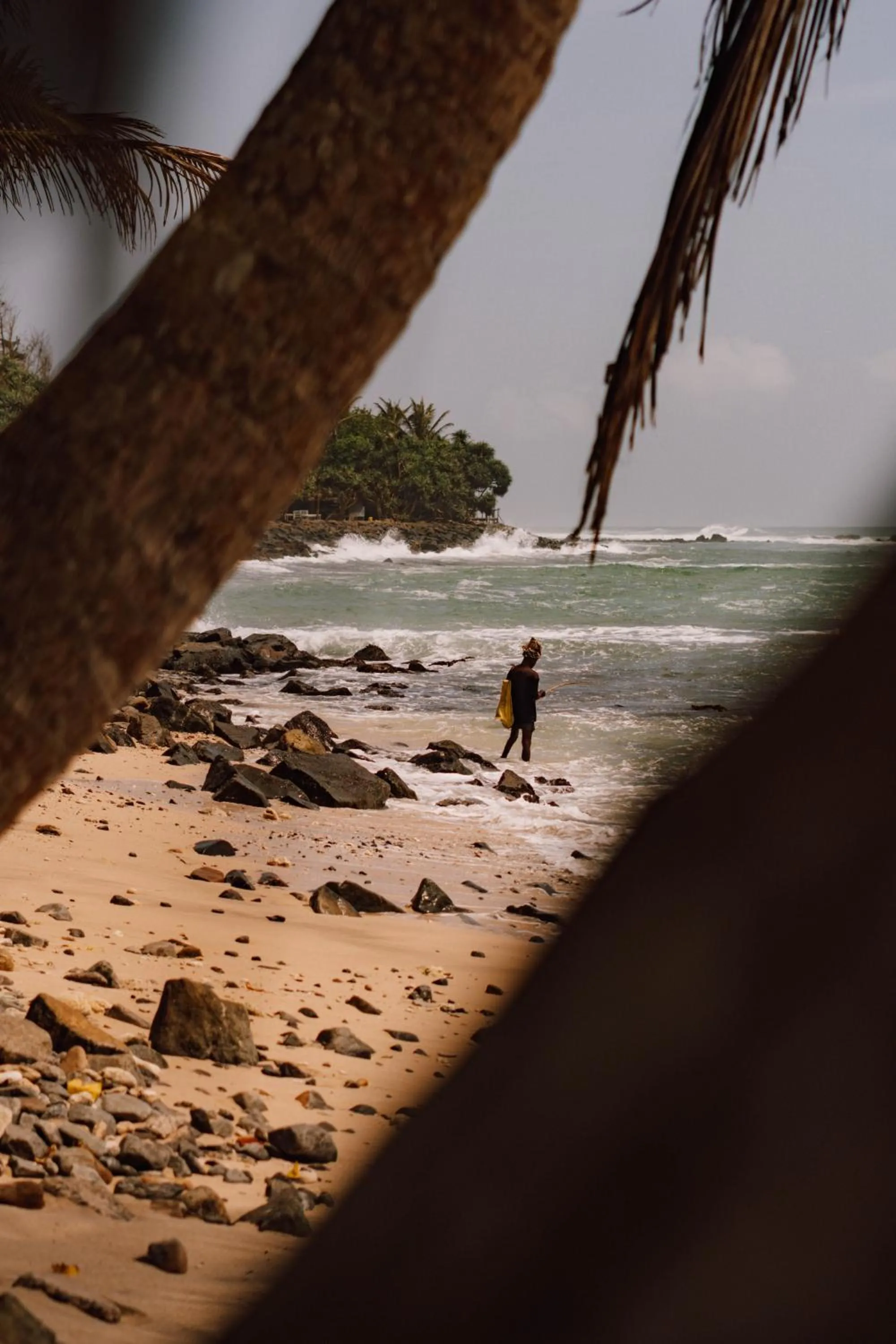 Beach in Surfescape Sri Lanka