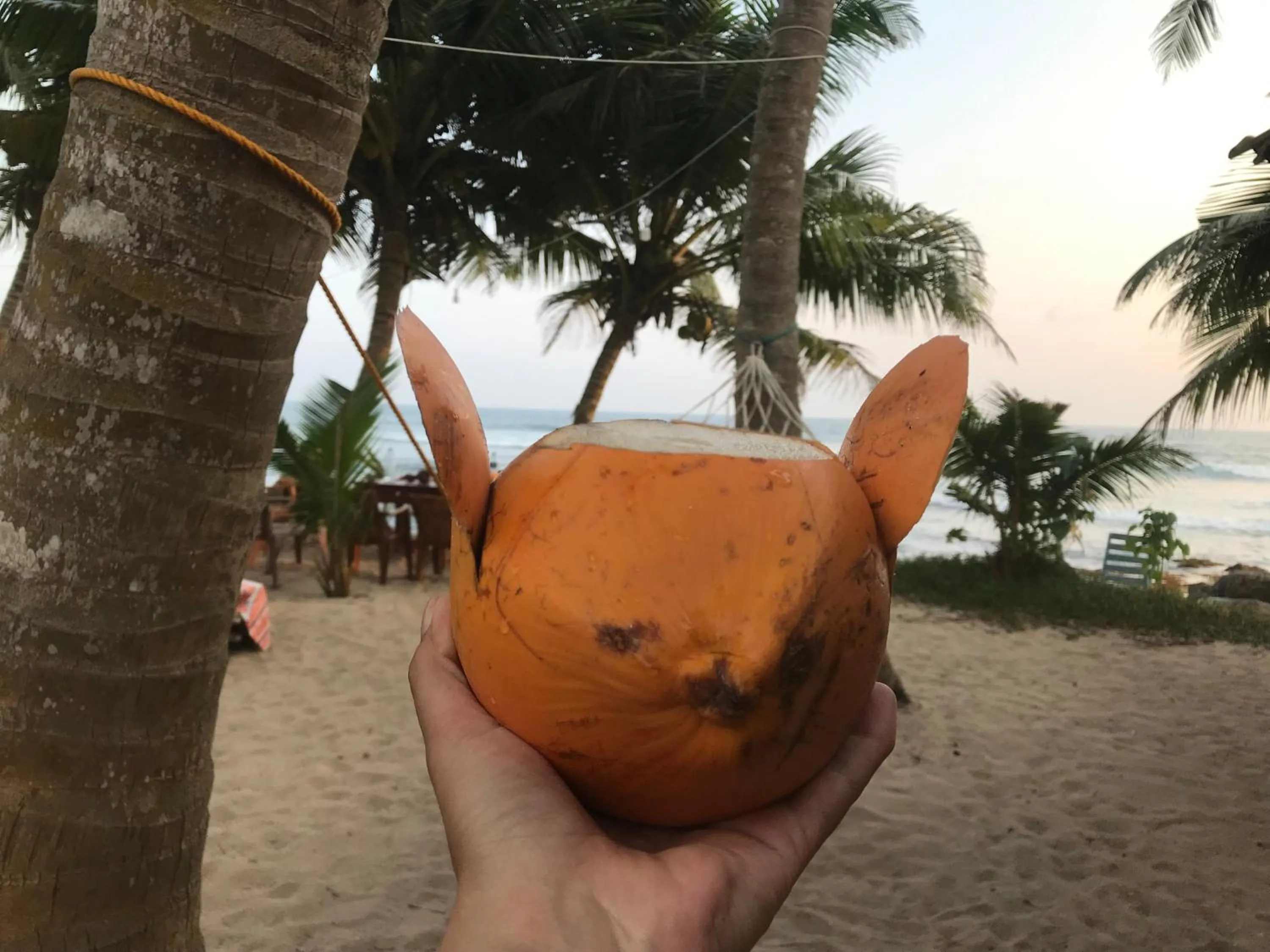 Natural landscape in Surfescape Sri Lanka