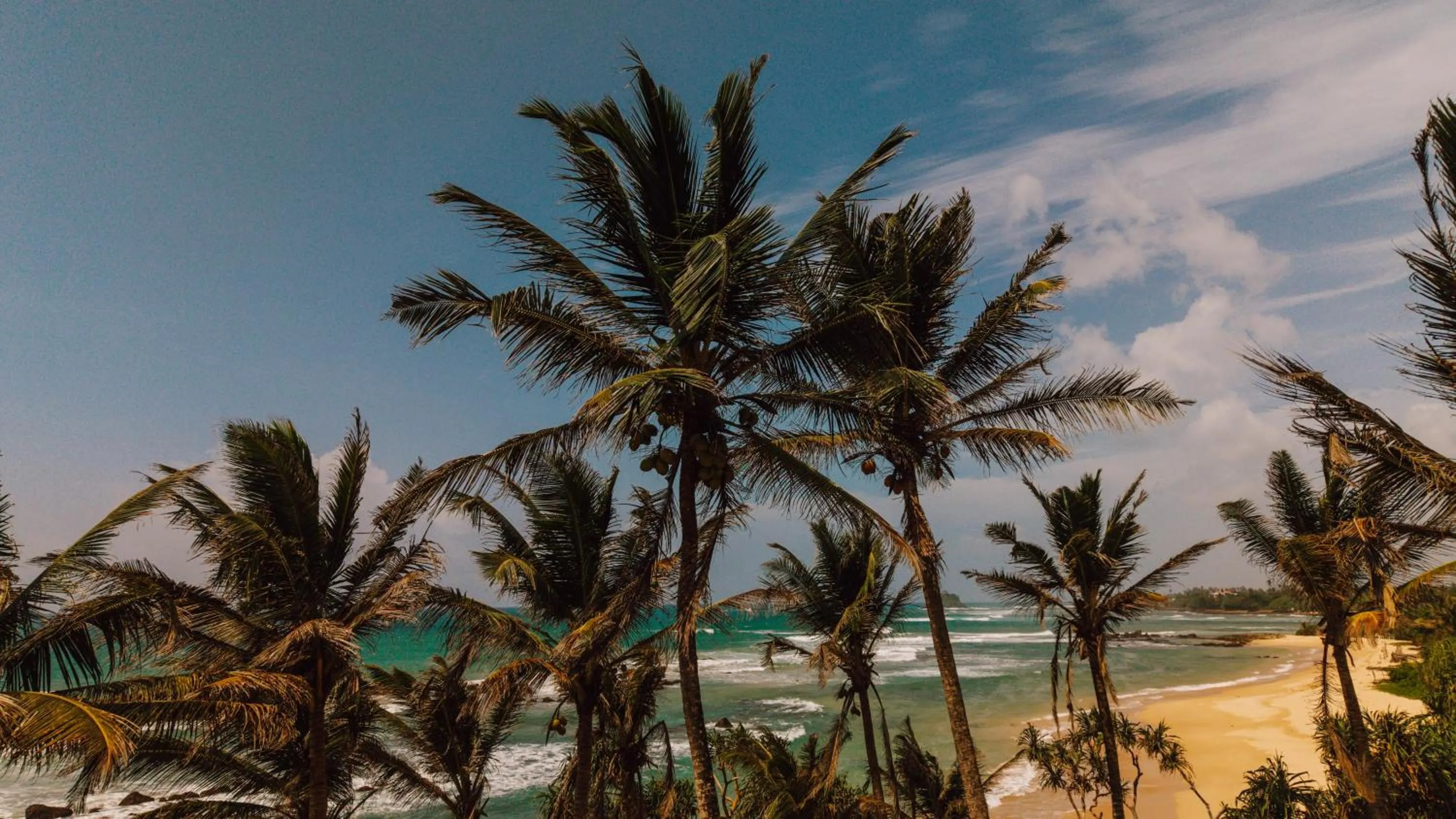 Beach in Surfescape Sri Lanka