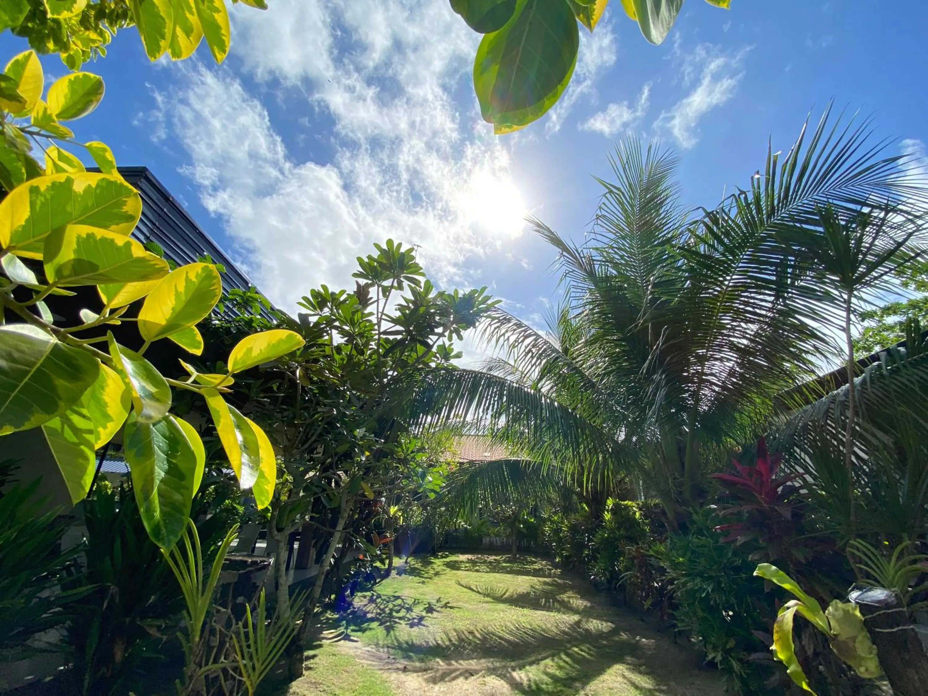 Garden in Vivo Siargao