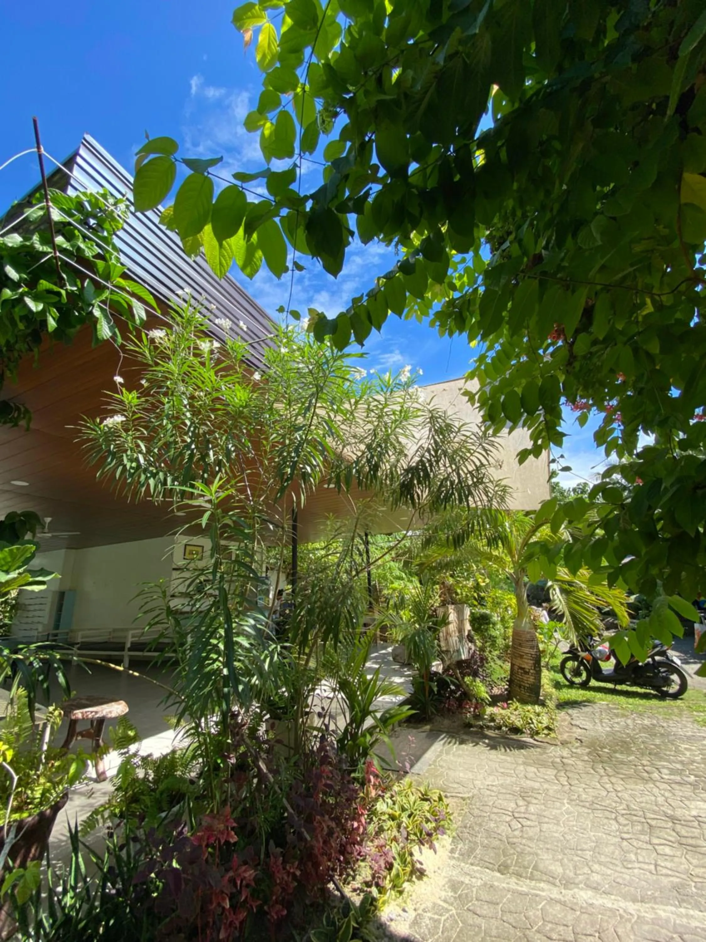 Garden in Vivo Siargao