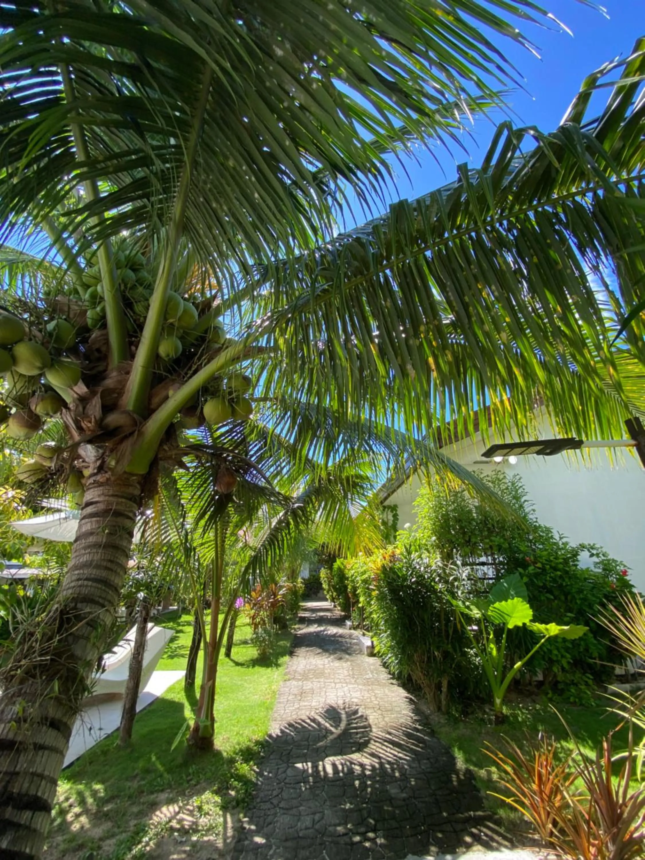 Garden in Vivo Siargao