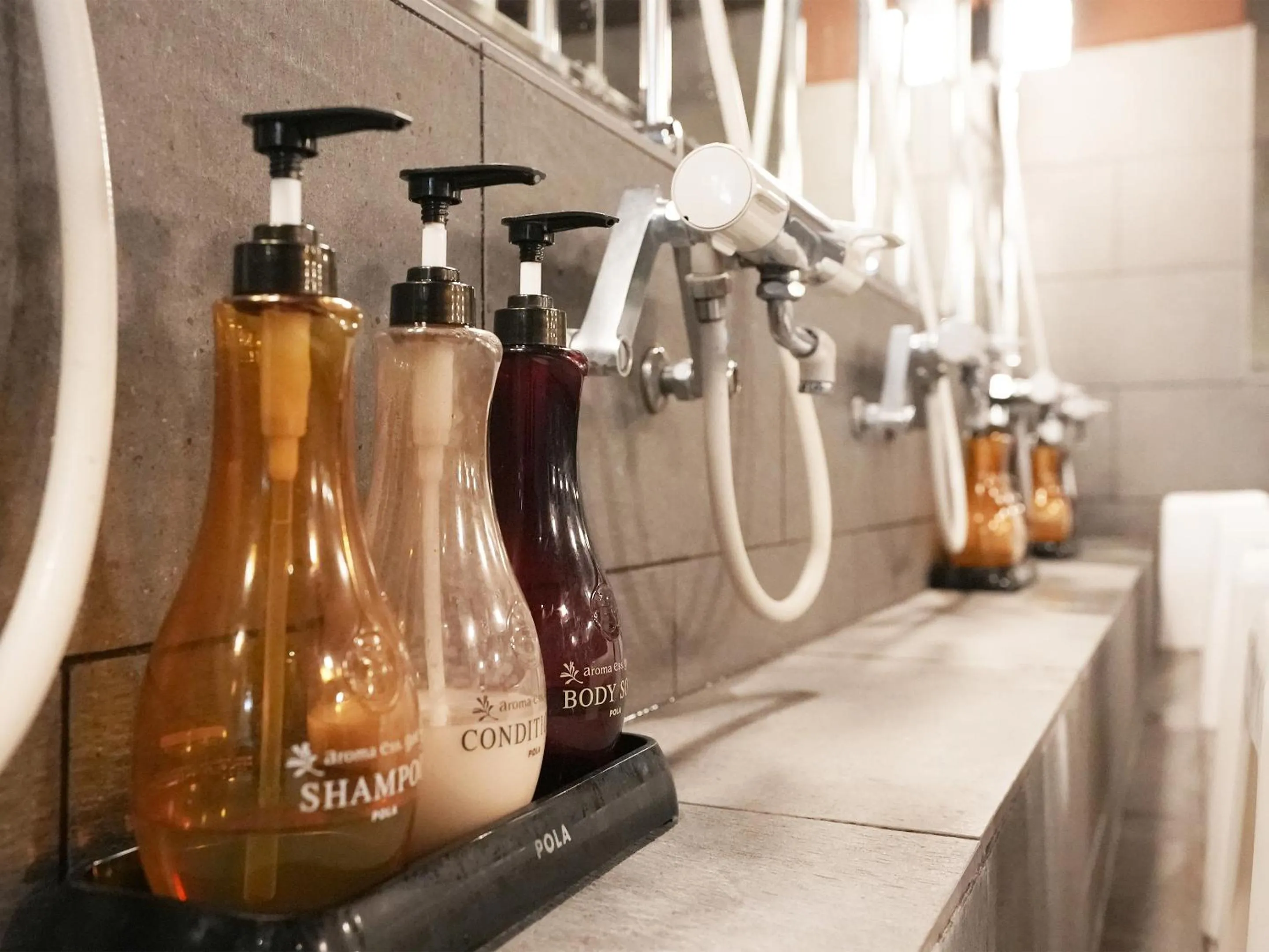 Public Bath in Hotel Abest Hakuba Resort