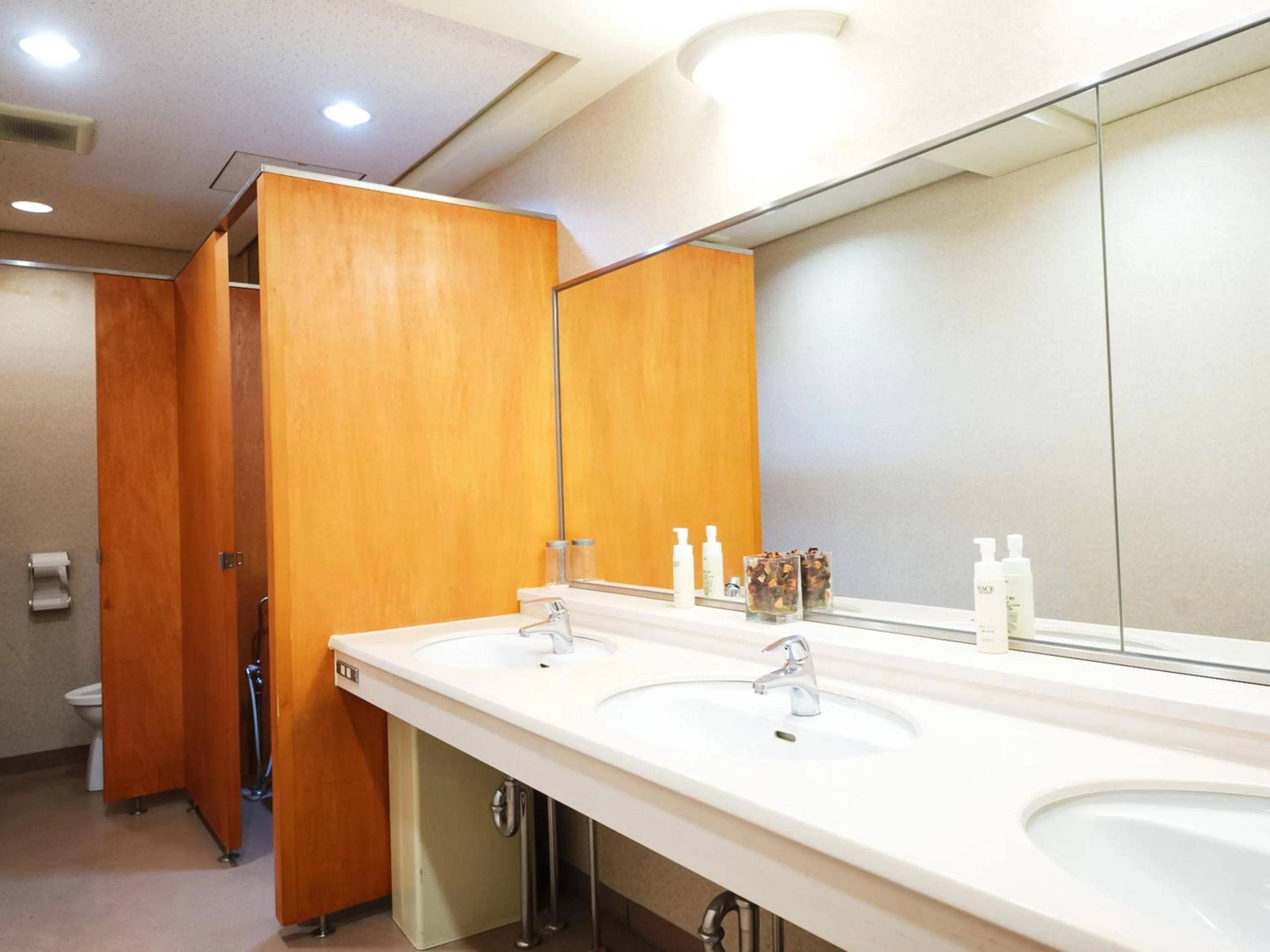 Toilet in Hotel Abest Hakuba Resort