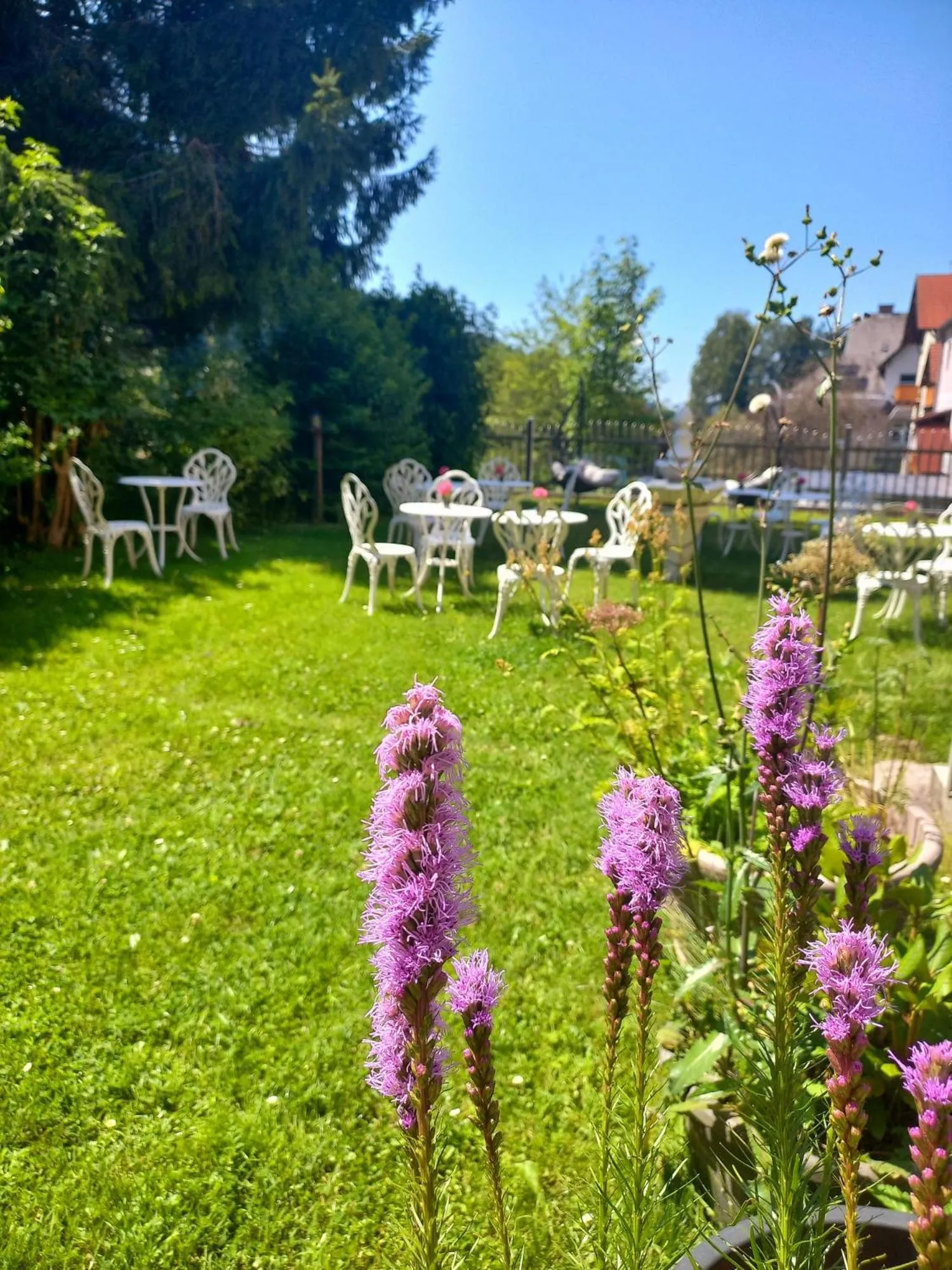 Garden in Frühstückspension Gasthof Gesslbauer