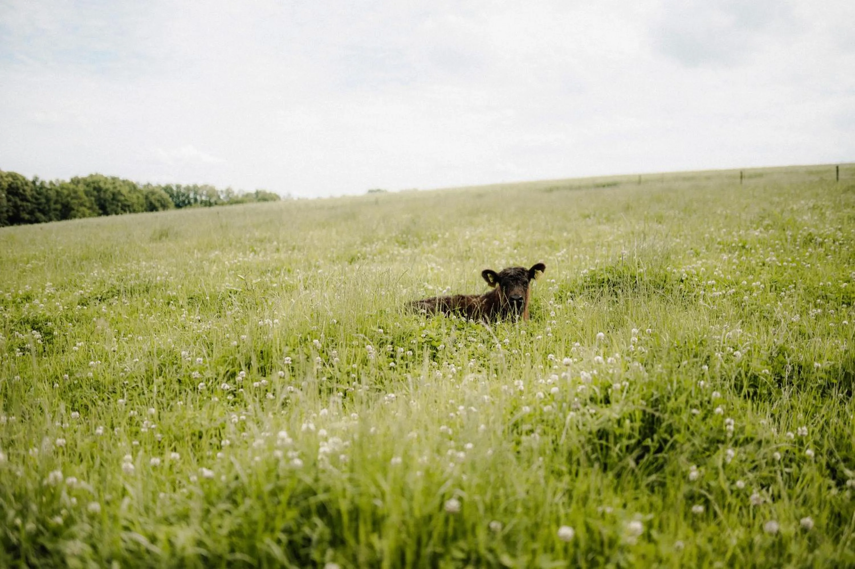 Sommers "Schöne Aussicht", Adults only