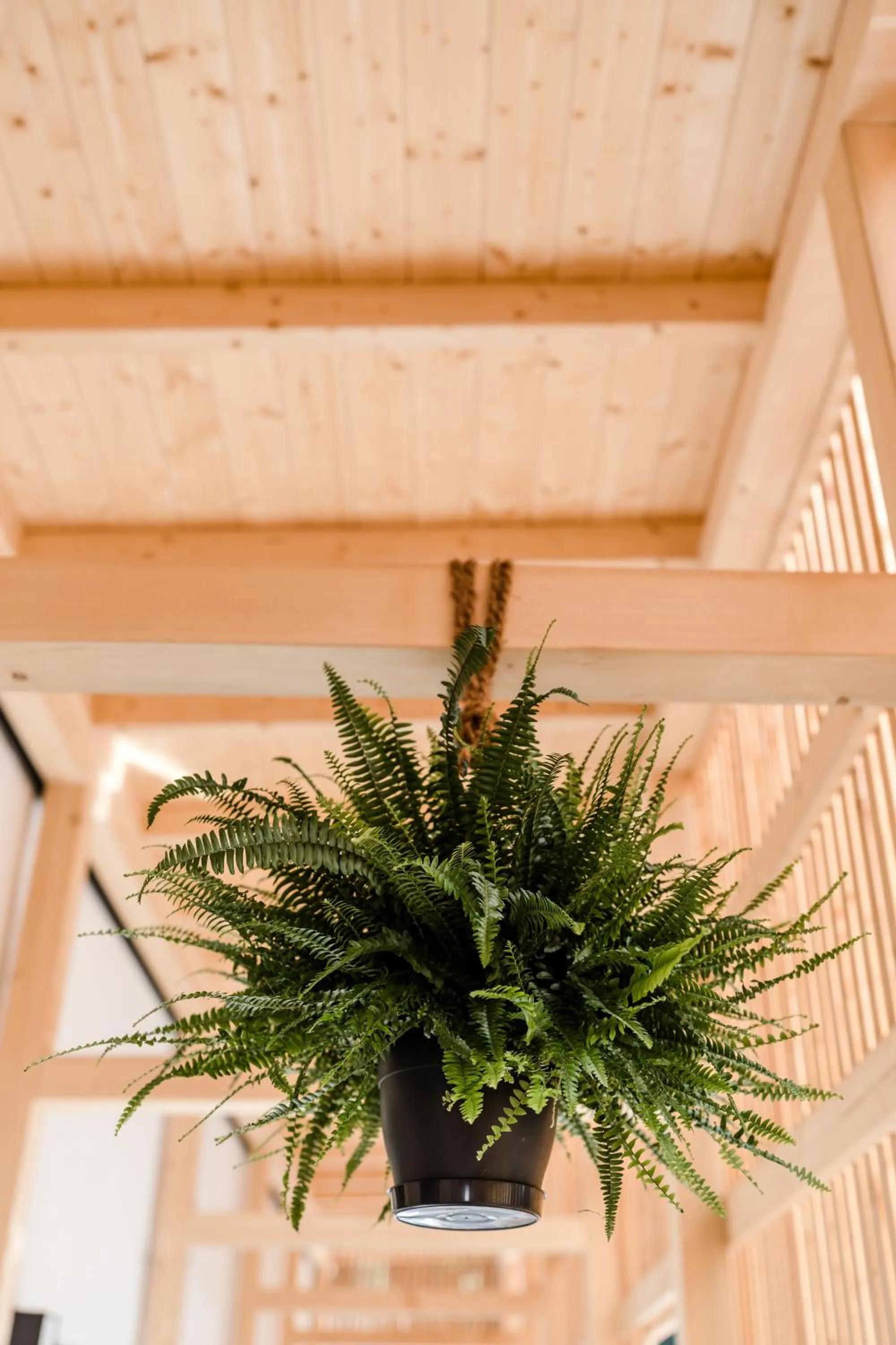 Sommers "Schöne Aussicht", Adults only