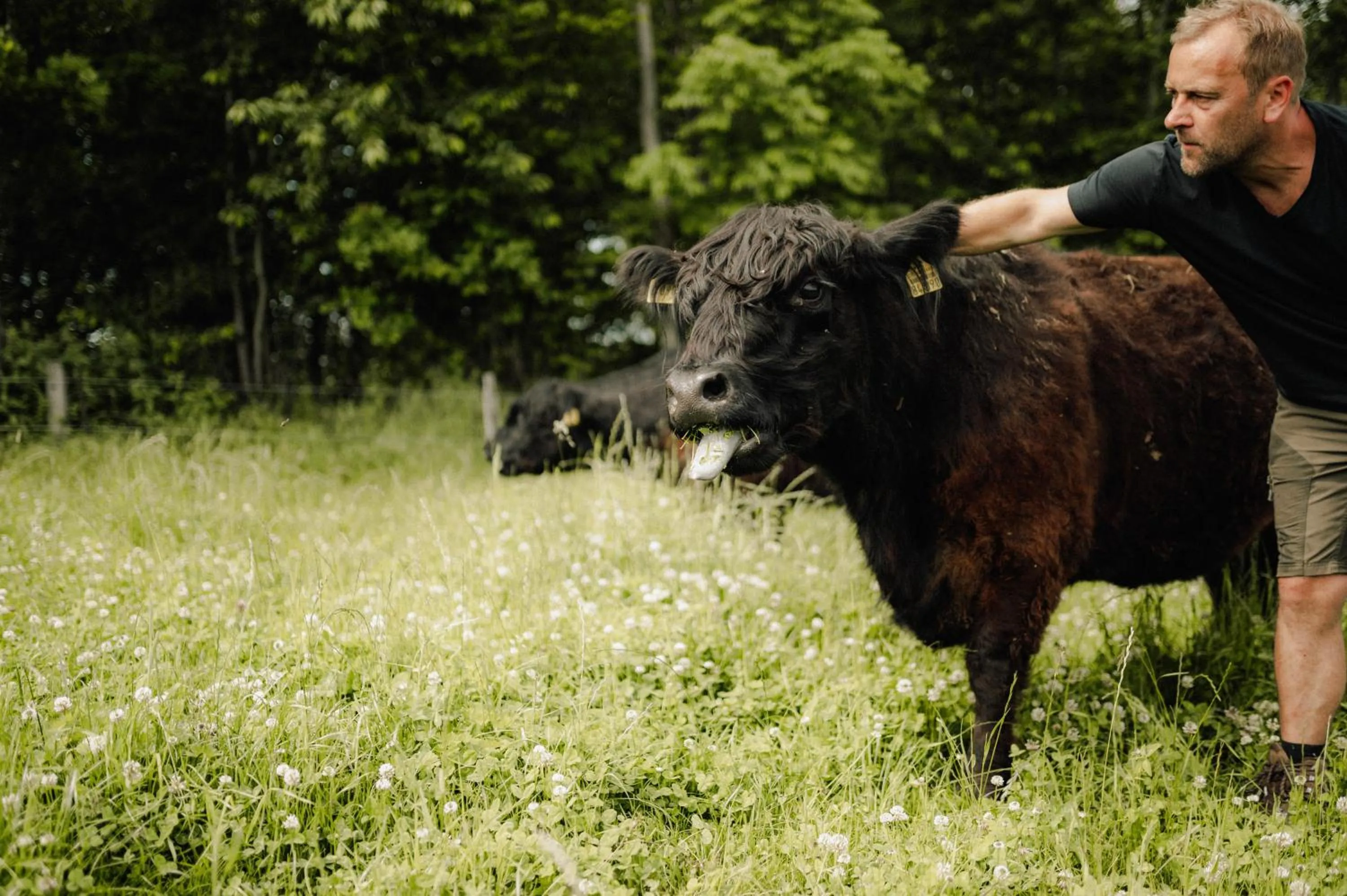 Sommers "Schöne Aussicht", Adults only