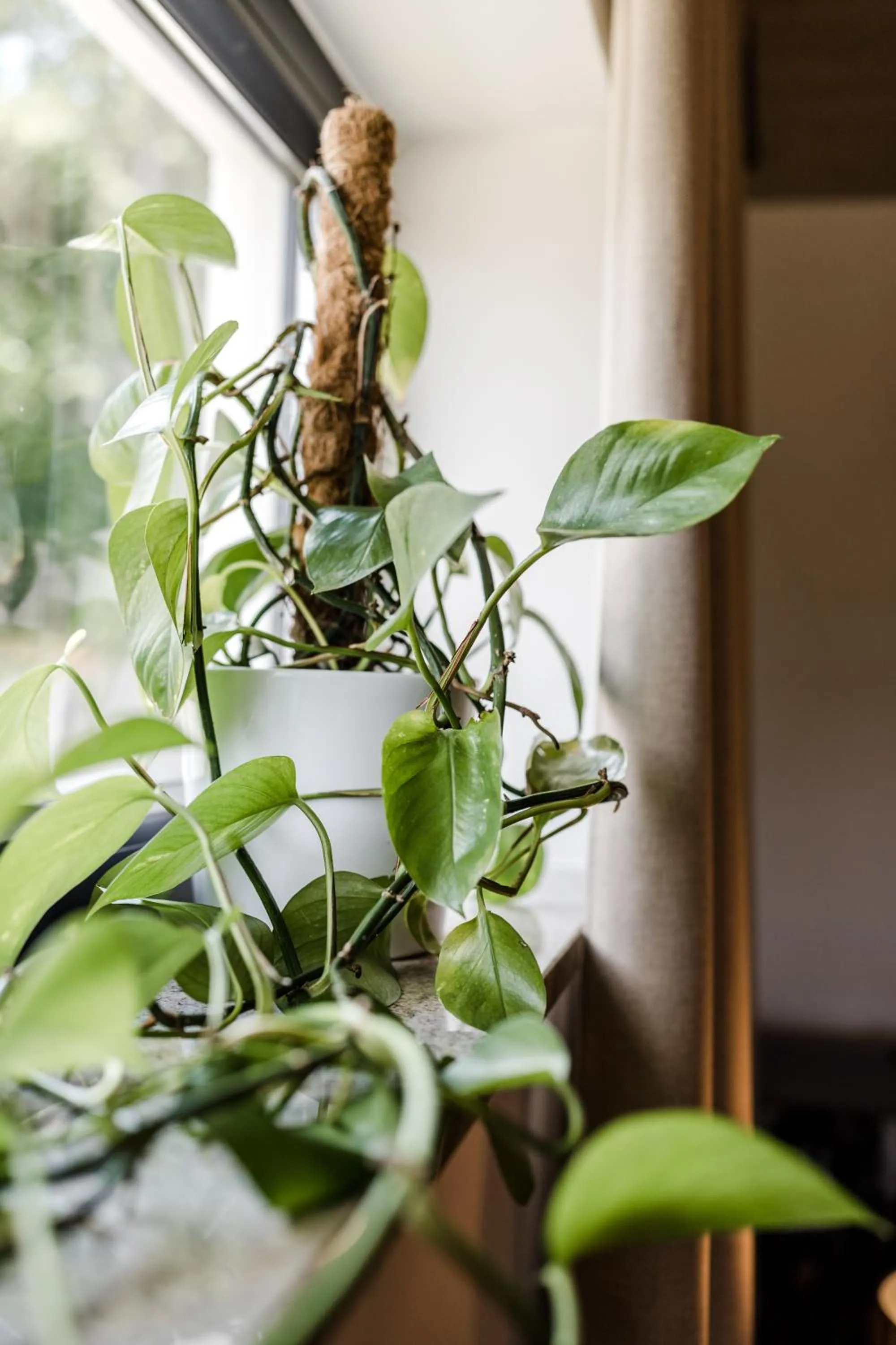 Sommers "Schöne Aussicht", Adults only