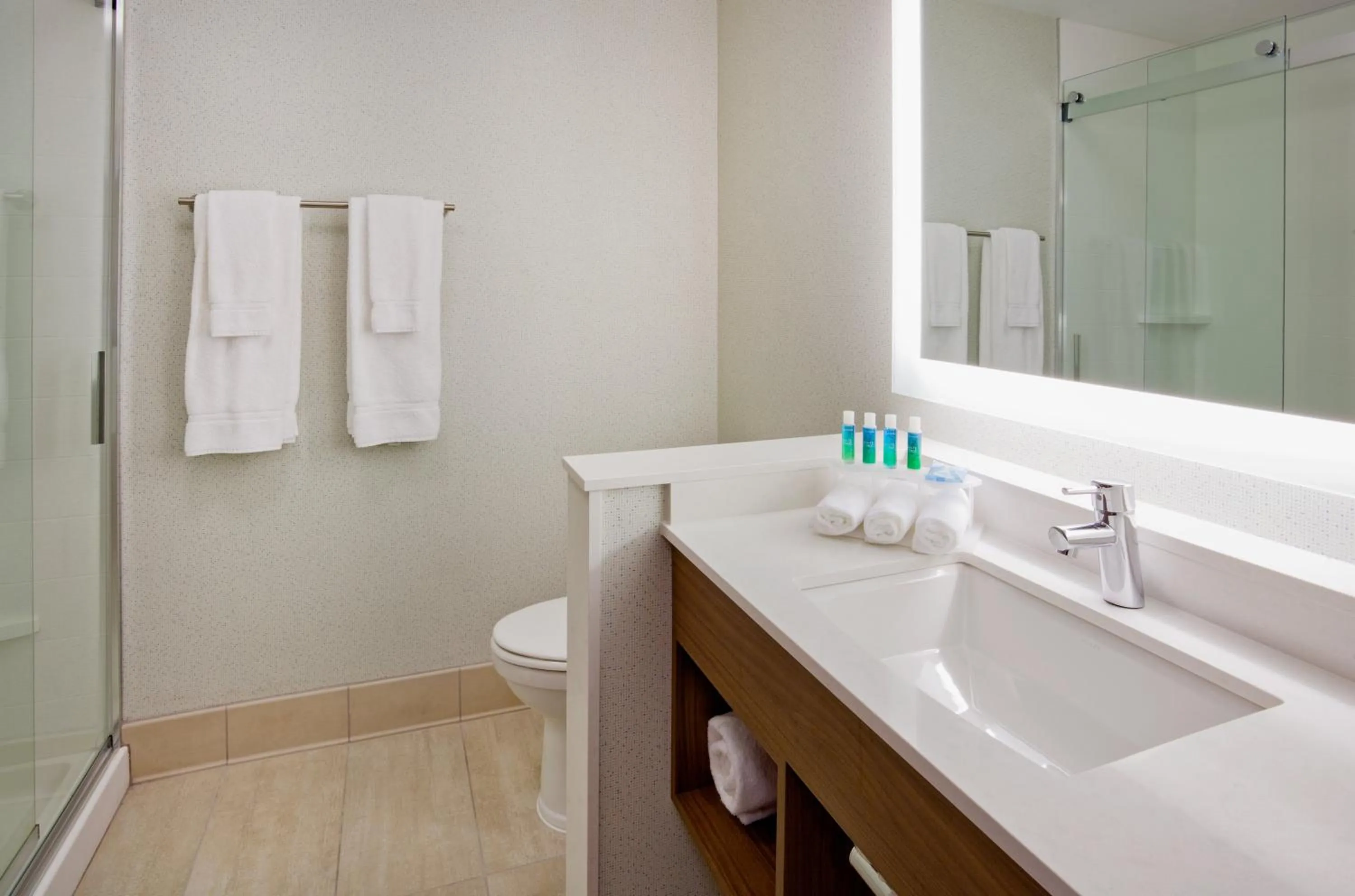 Bathroom in Holiday Inn Express and Suites Des Moines Downtown by IHG