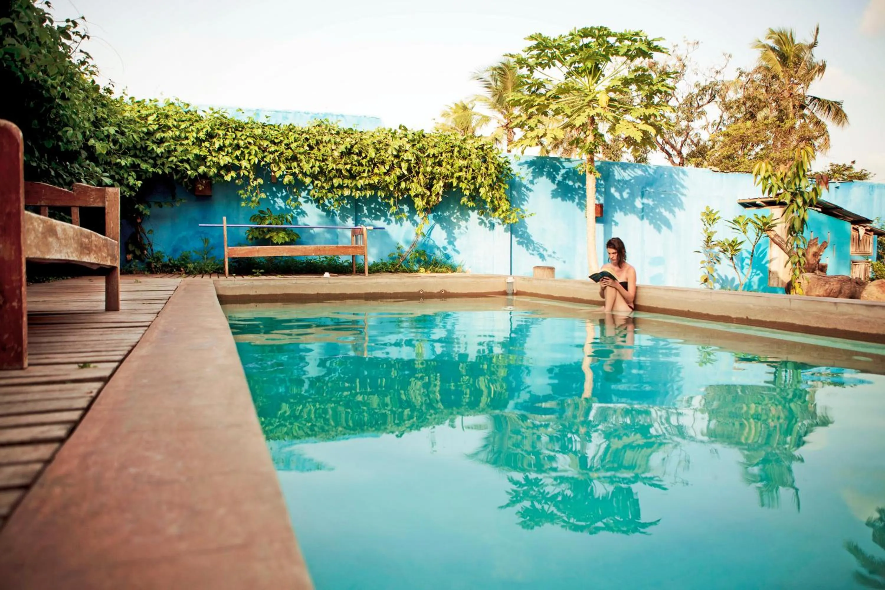 Garden in somewhere nice