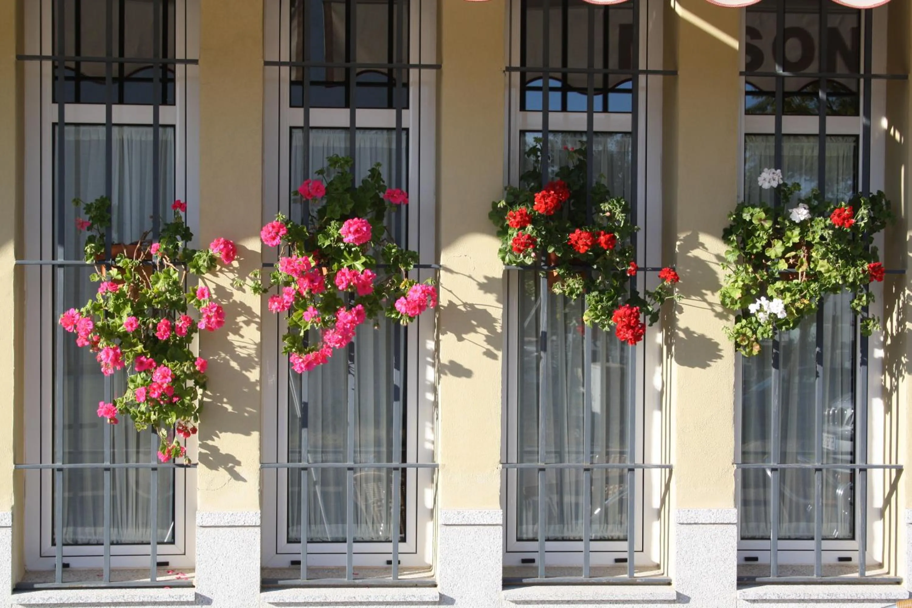 Facade/entrance in Hotel Lince