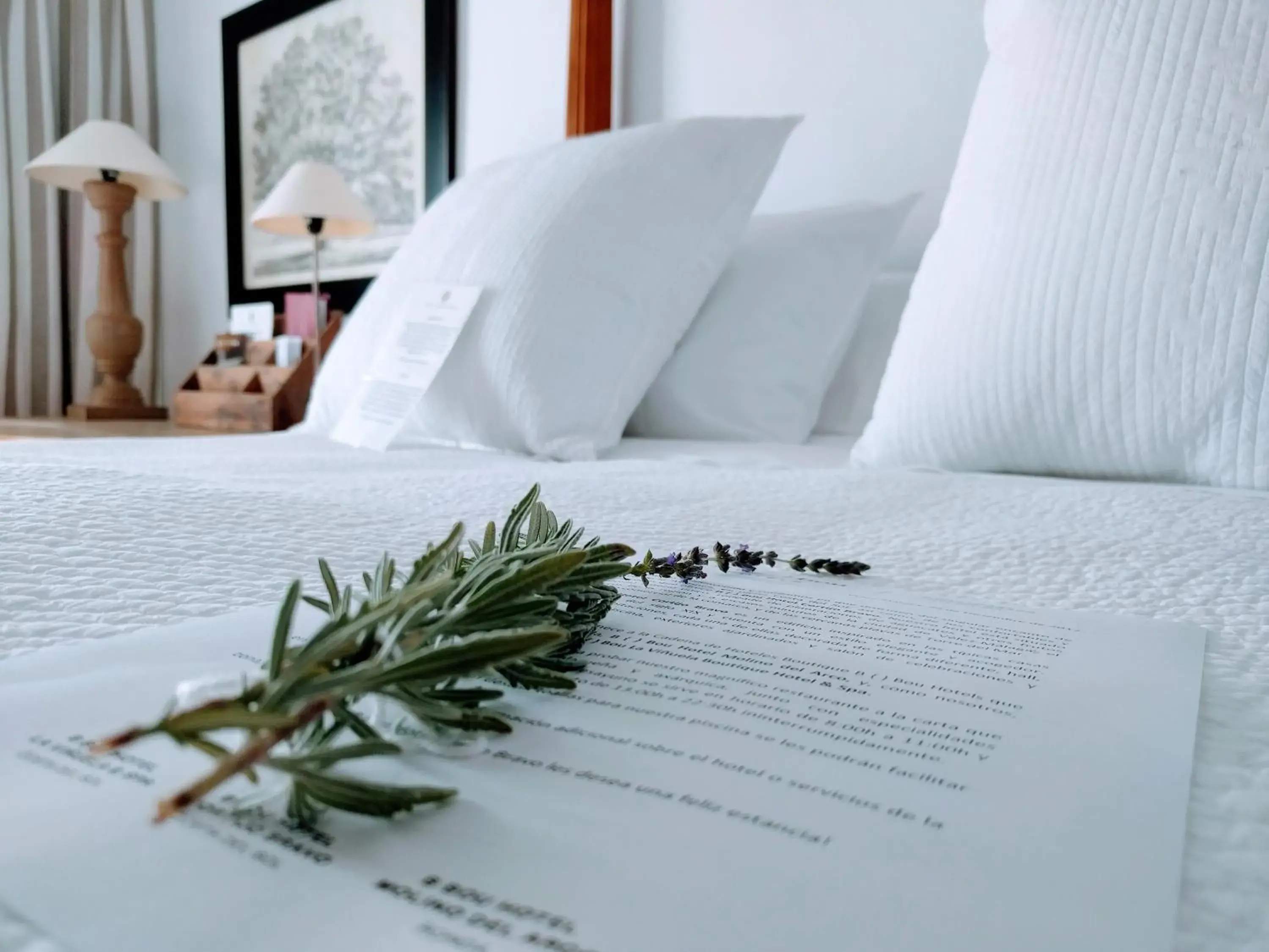 Suite in B Bou Hotel Cortijo Bravo Suite in B Bou Hotel Cortijo Bravo