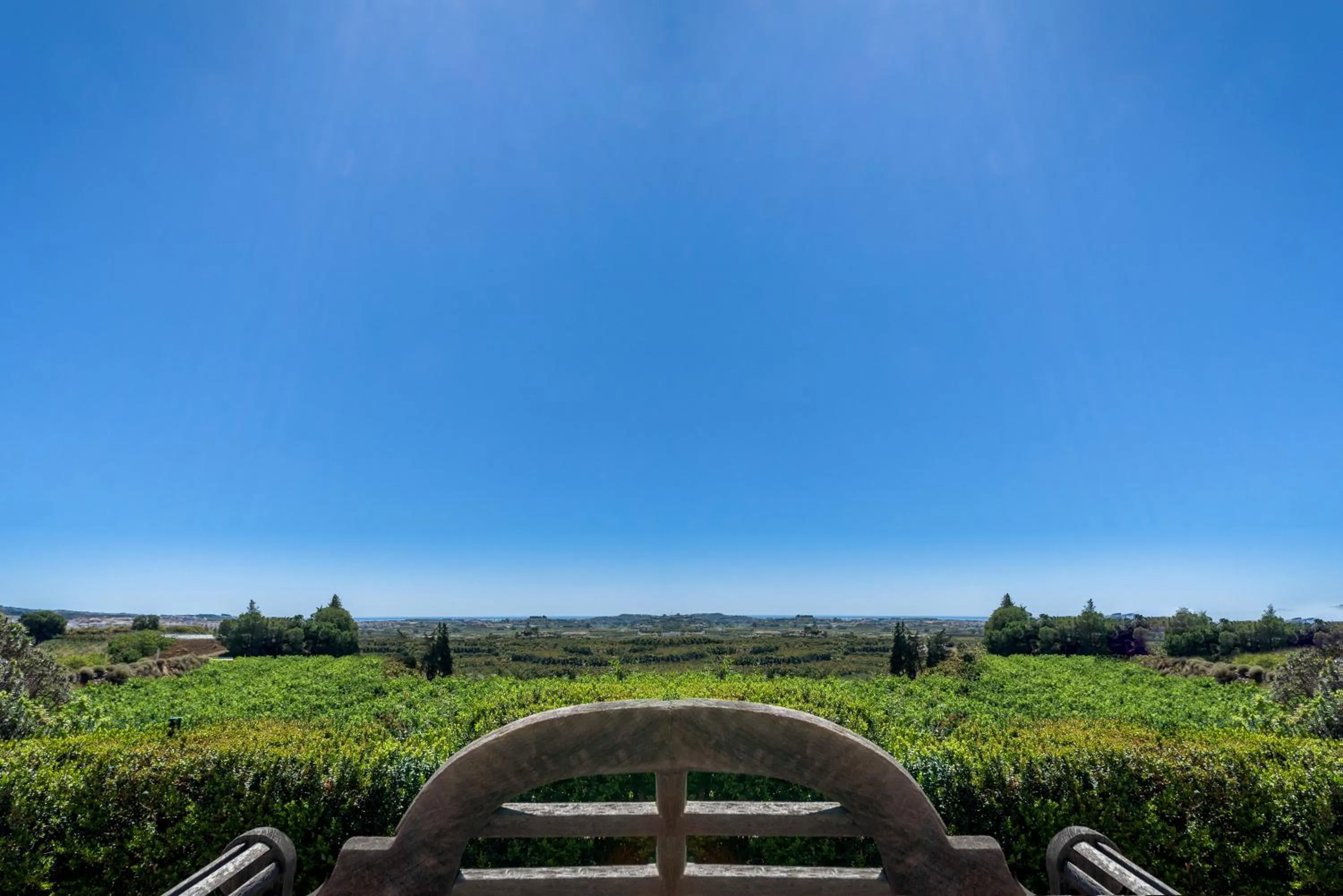 Natural landscape in B Bou Hotel Cortijo Bravo