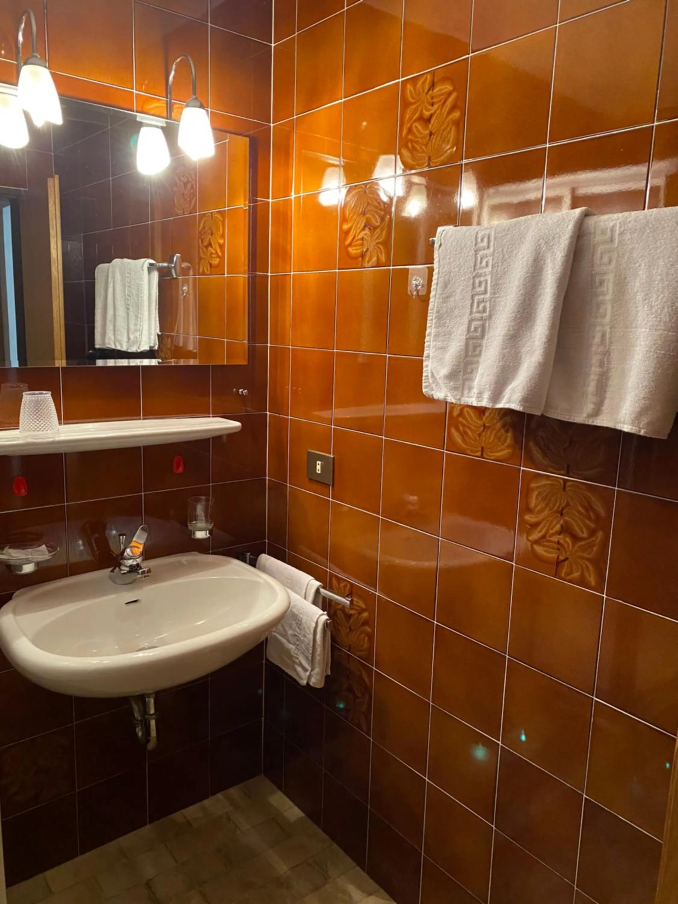 Bathroom in Hotel Friedemann