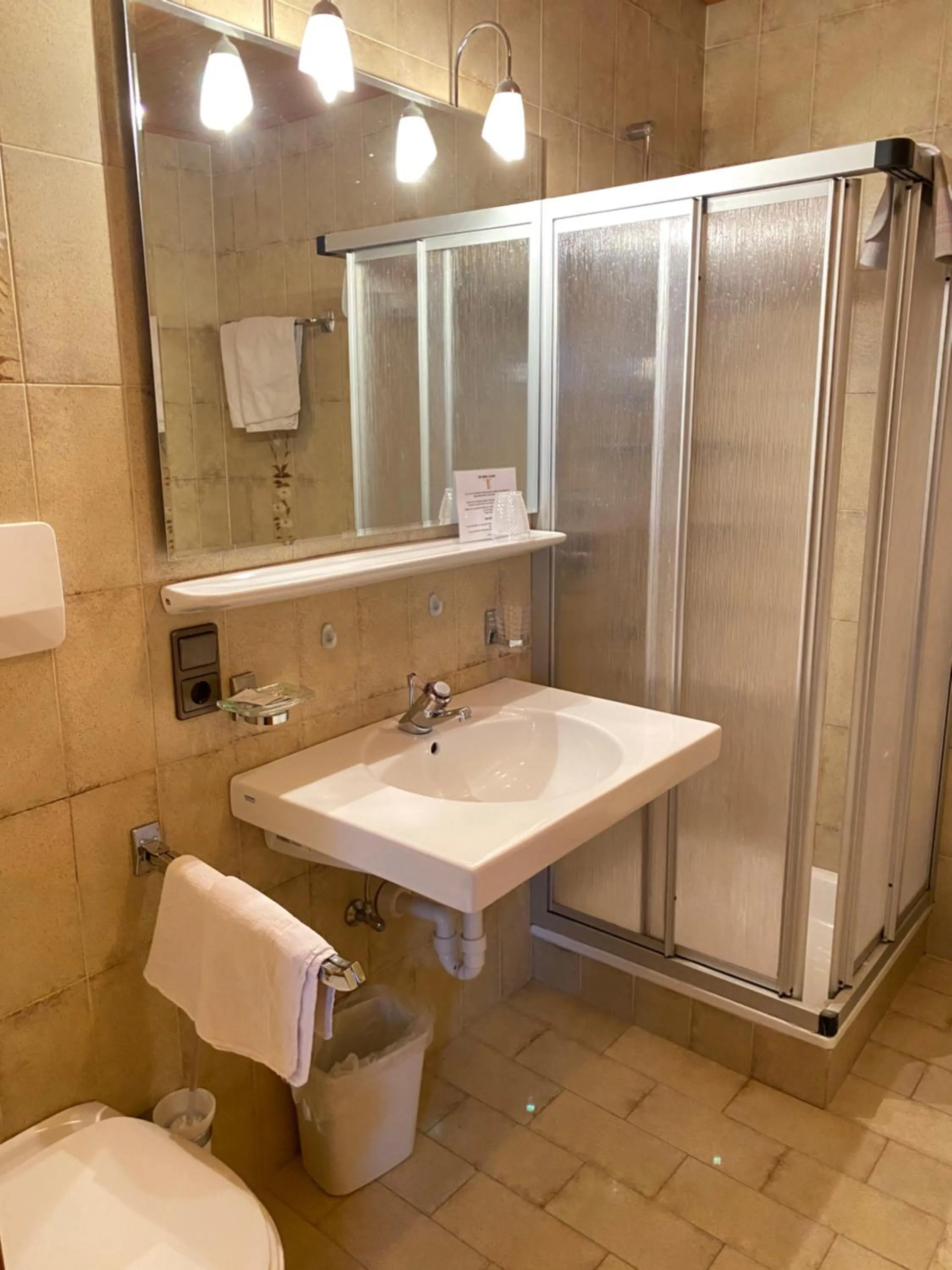 Shower in Hotel Friedemann