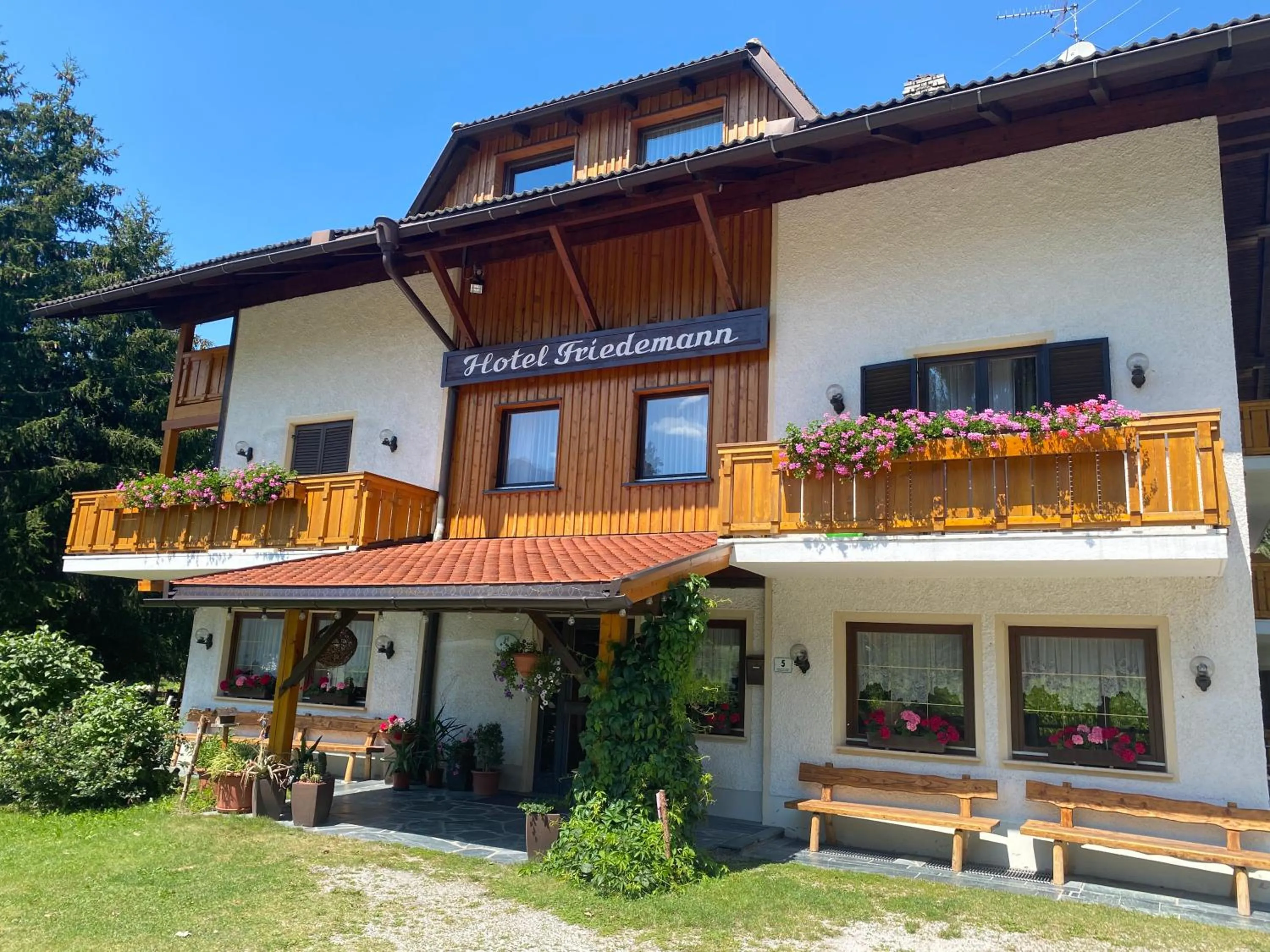 Hotel Friedemann