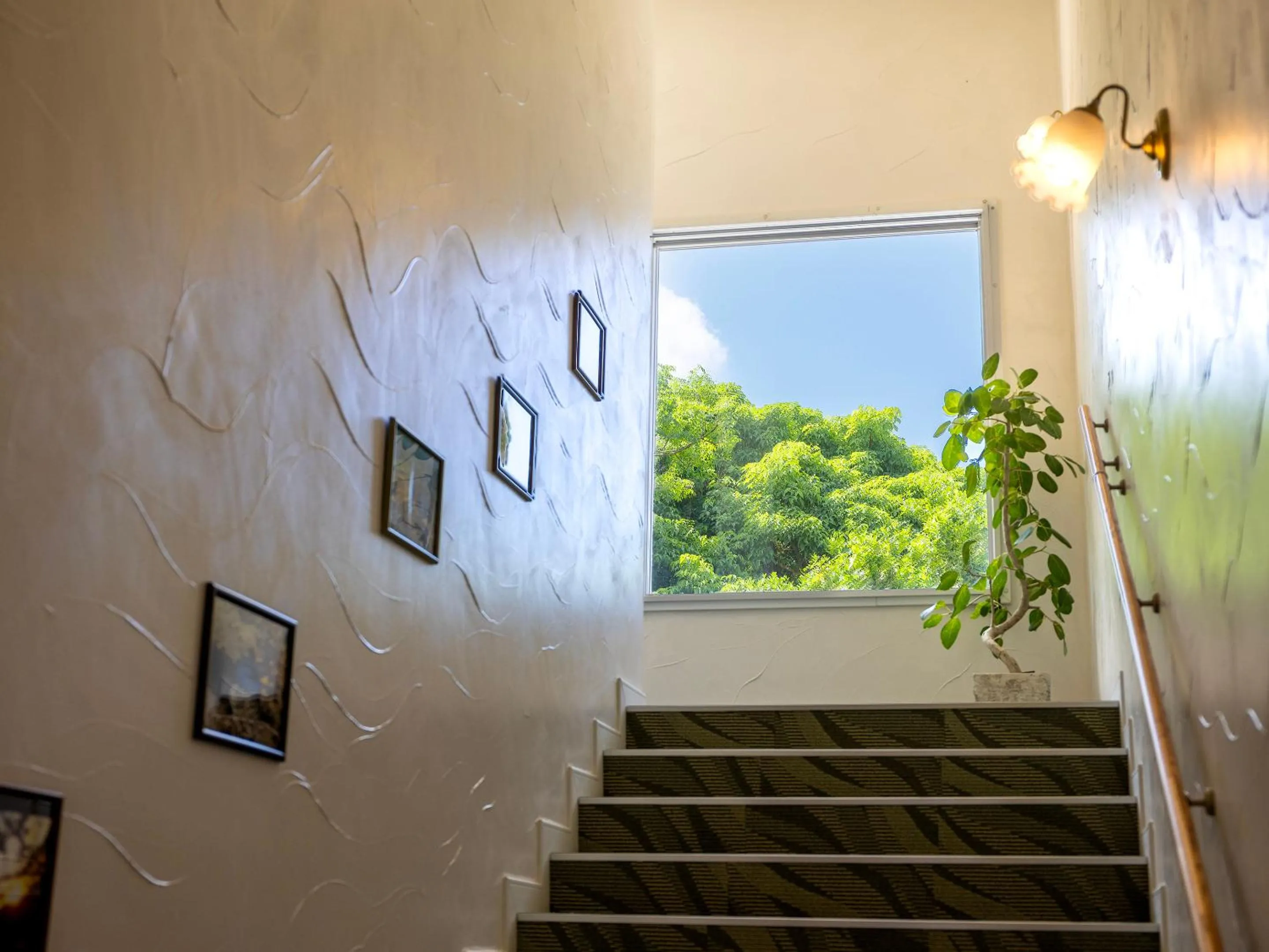 Area and facilities in Hoshi No Terrace Motobu Yamazato