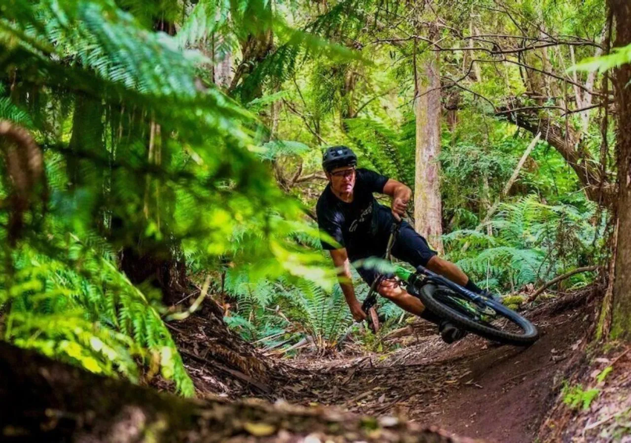 Natural landscape in BIG4 Tassie Getaway Parks St Helens