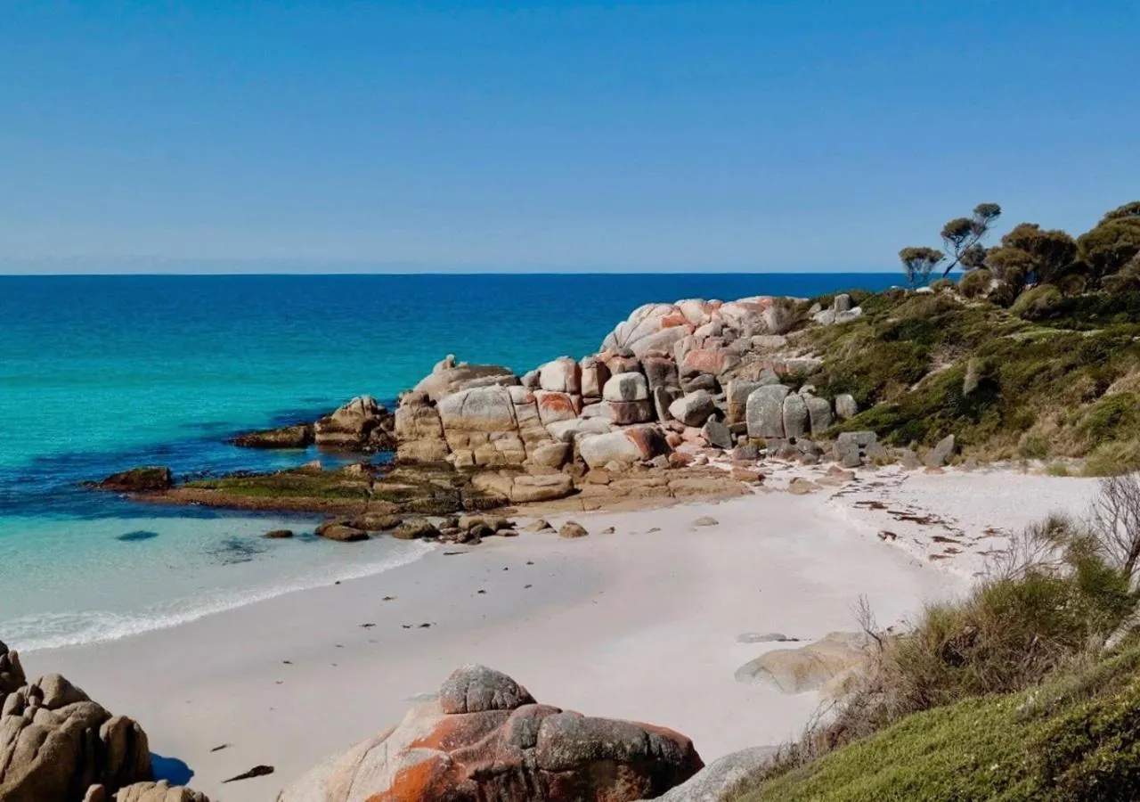 Natural landscape in BIG4 Tassie Getaway Parks St Helens