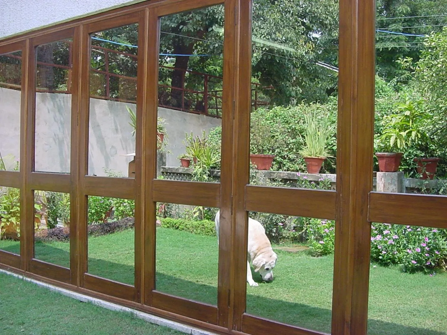 Garden view in Petite Homestays