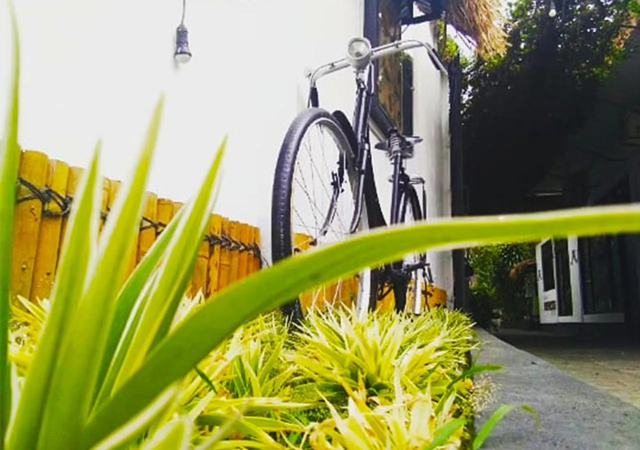 Decorative detail in Rumah Roso Homestay