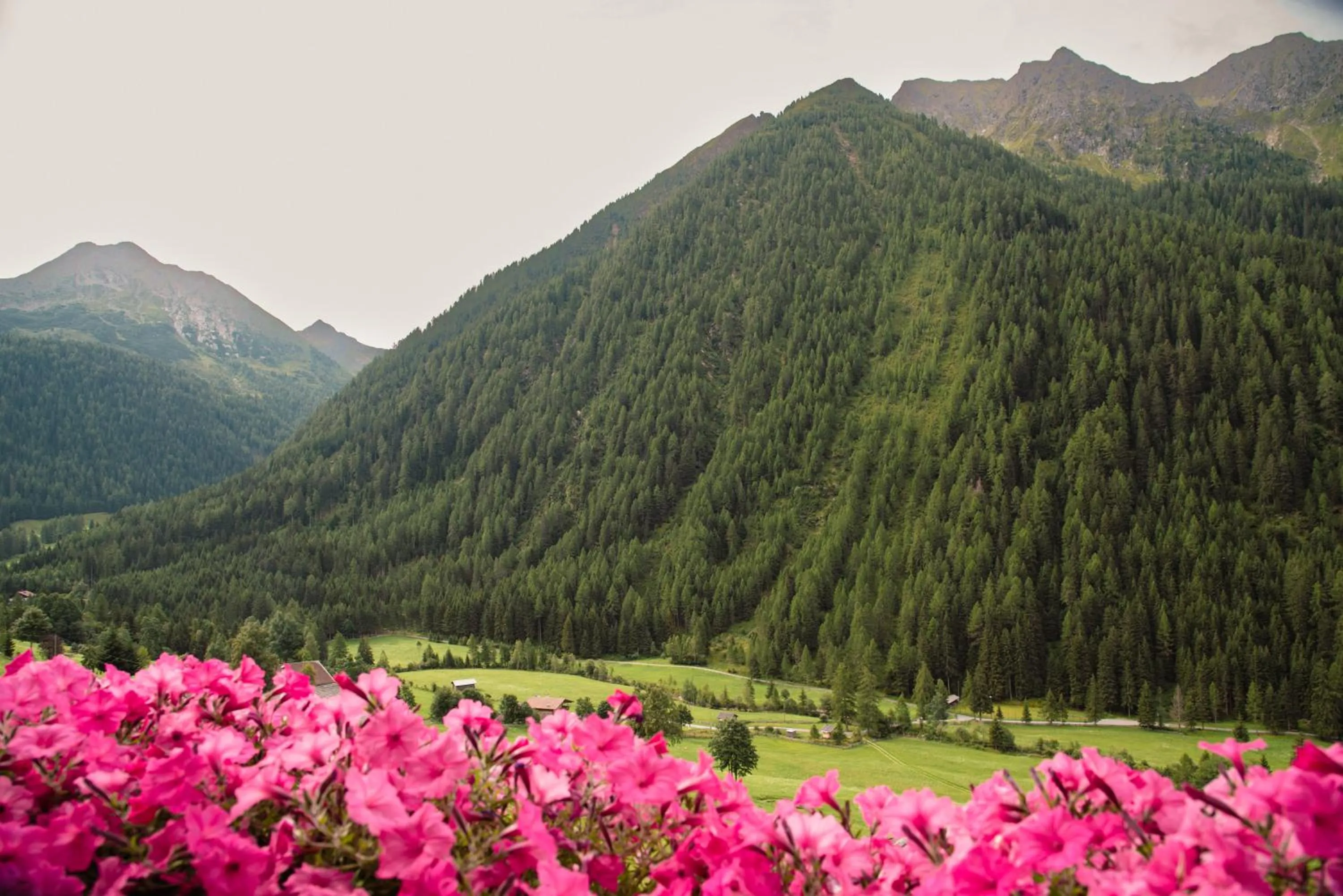 View (from property/room) in Gasthof Innerwalten