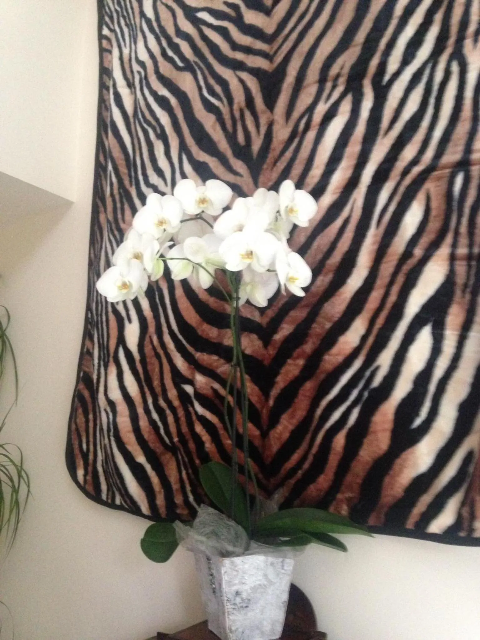 Decorative detail in The Lodge at Ruddington