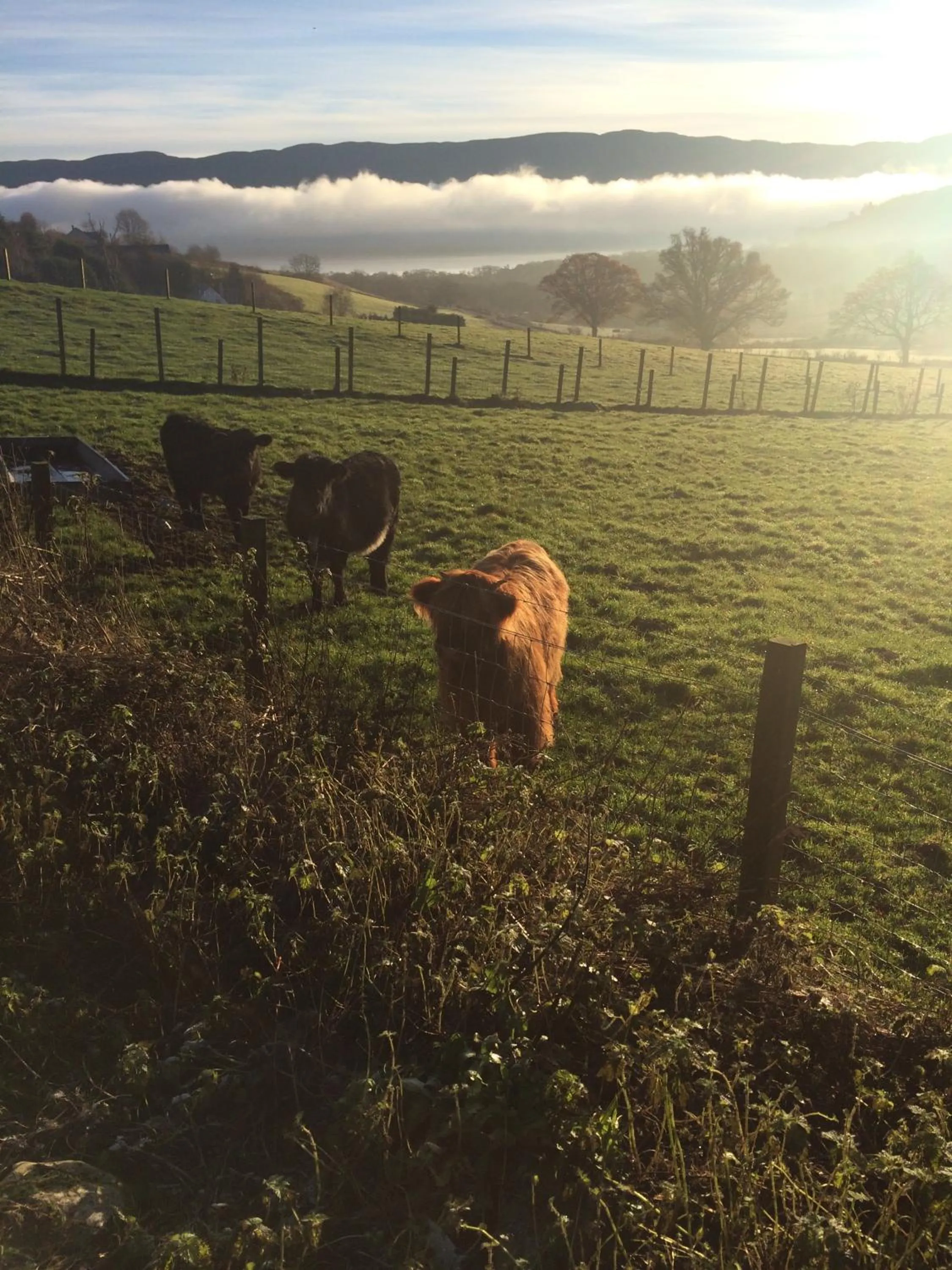 Property building in Drumbuie Farm B&B