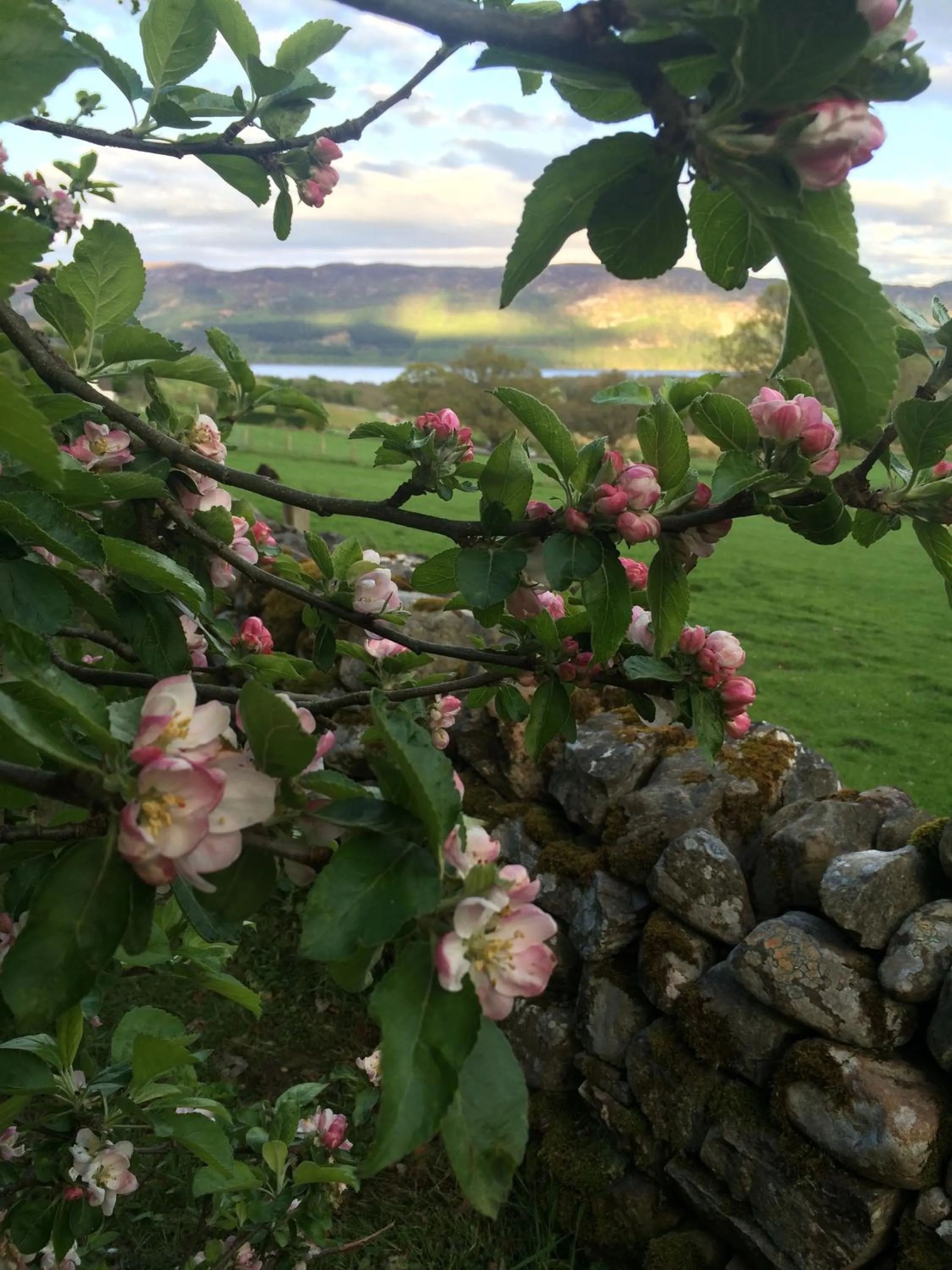 Property building in Drumbuie Farm B&B