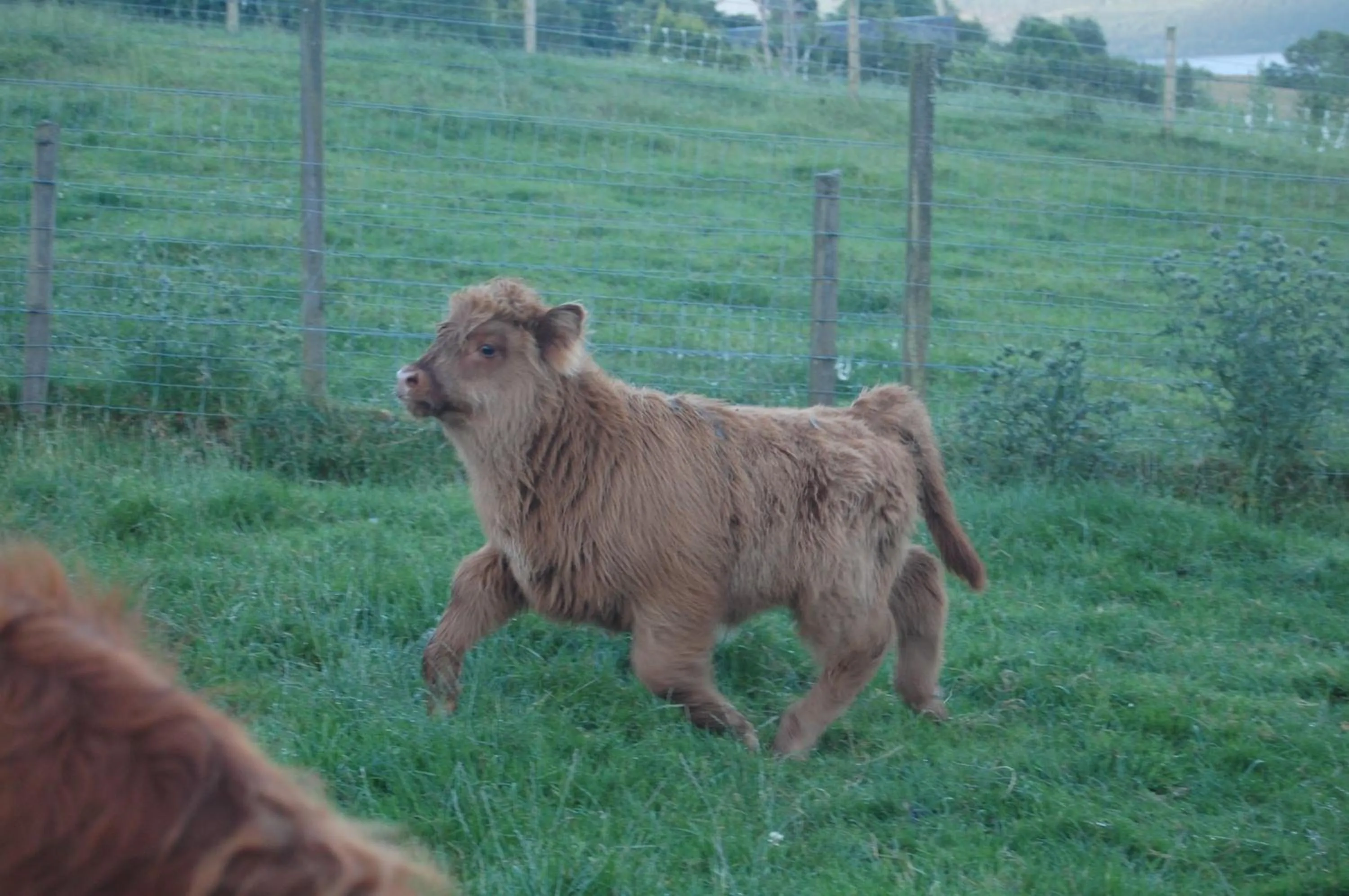 Property building in Drumbuie Farm B&B