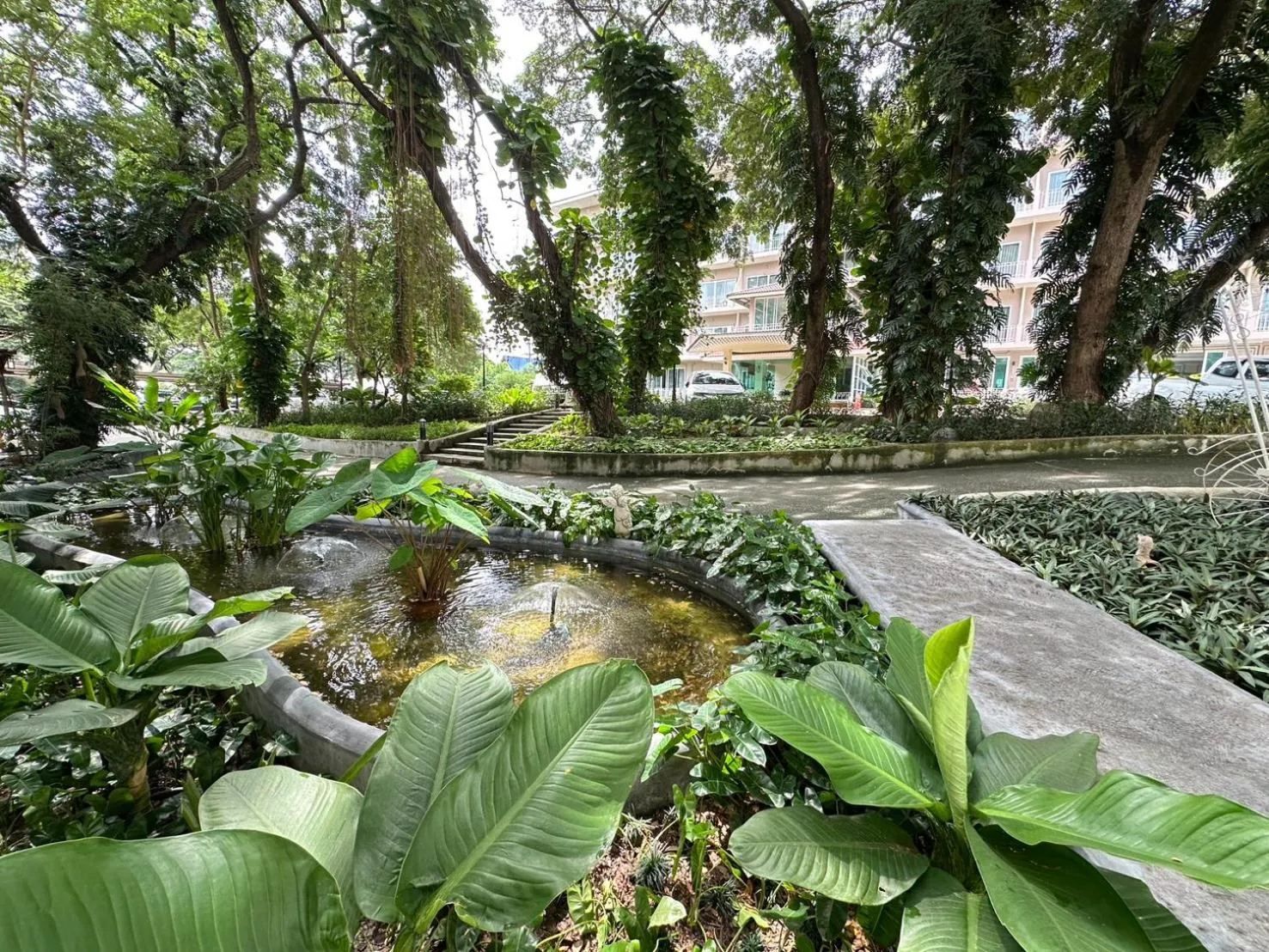 Garden view in Rattana View