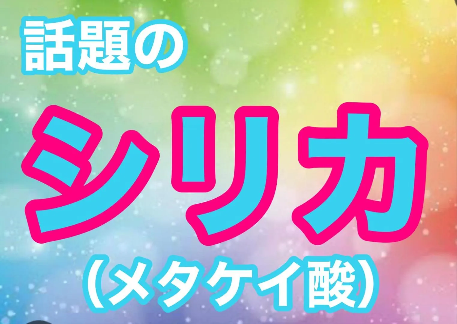 Hot Spring Bath in Hotel Shin Makomo