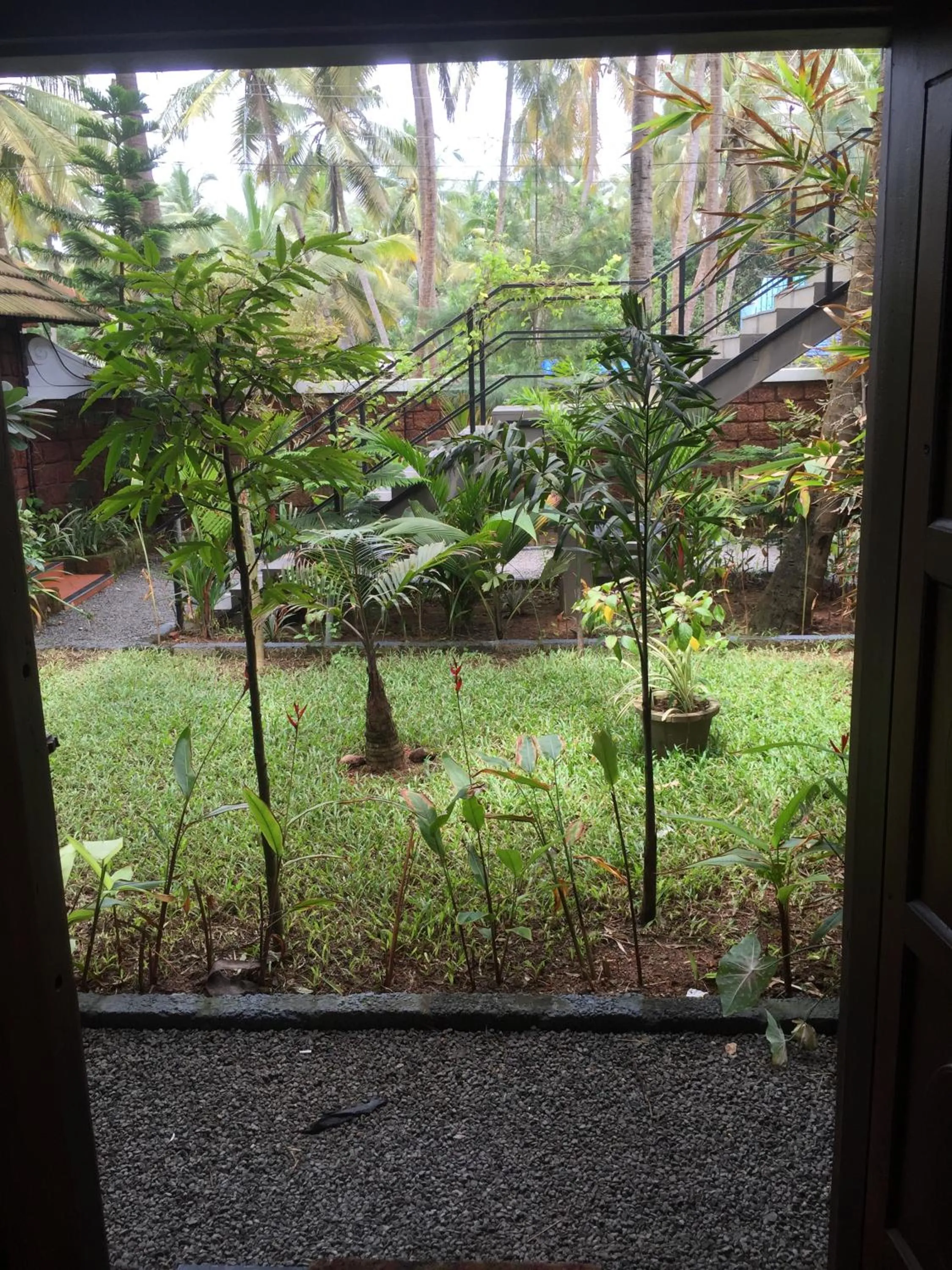 Garden in 36 Palms Boutique Retreat