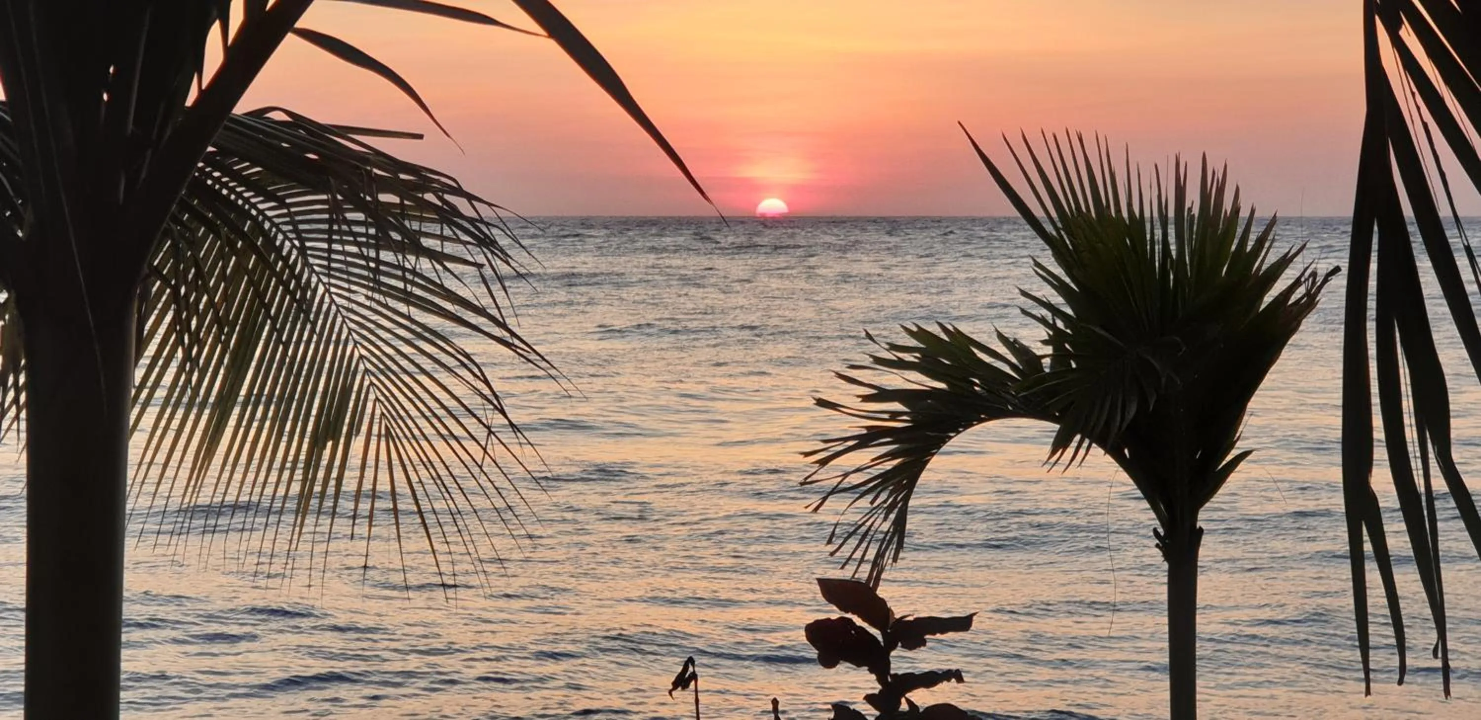 Sea view in Nalini Resort