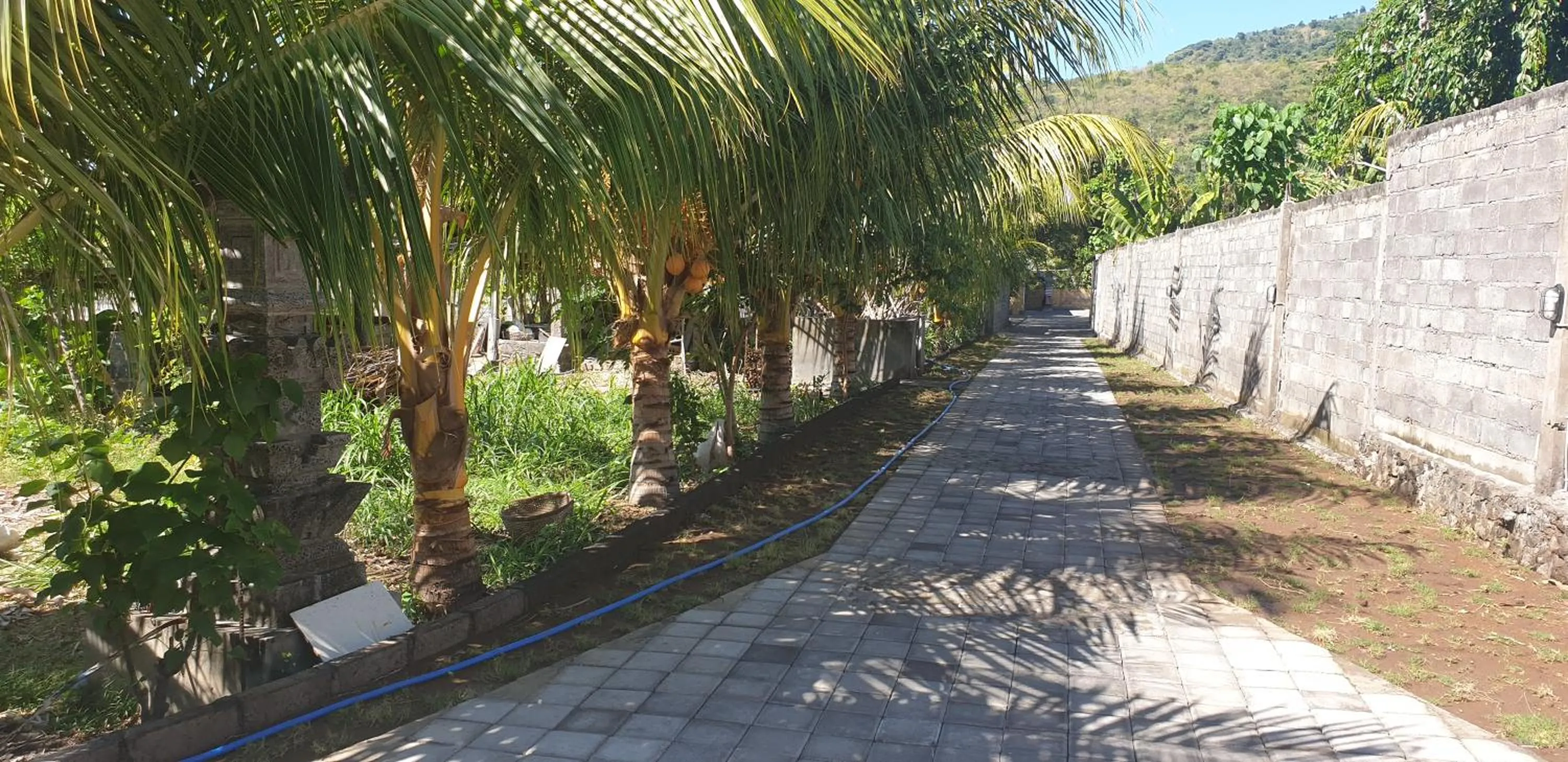 Facade/entrance in Nalini Resort