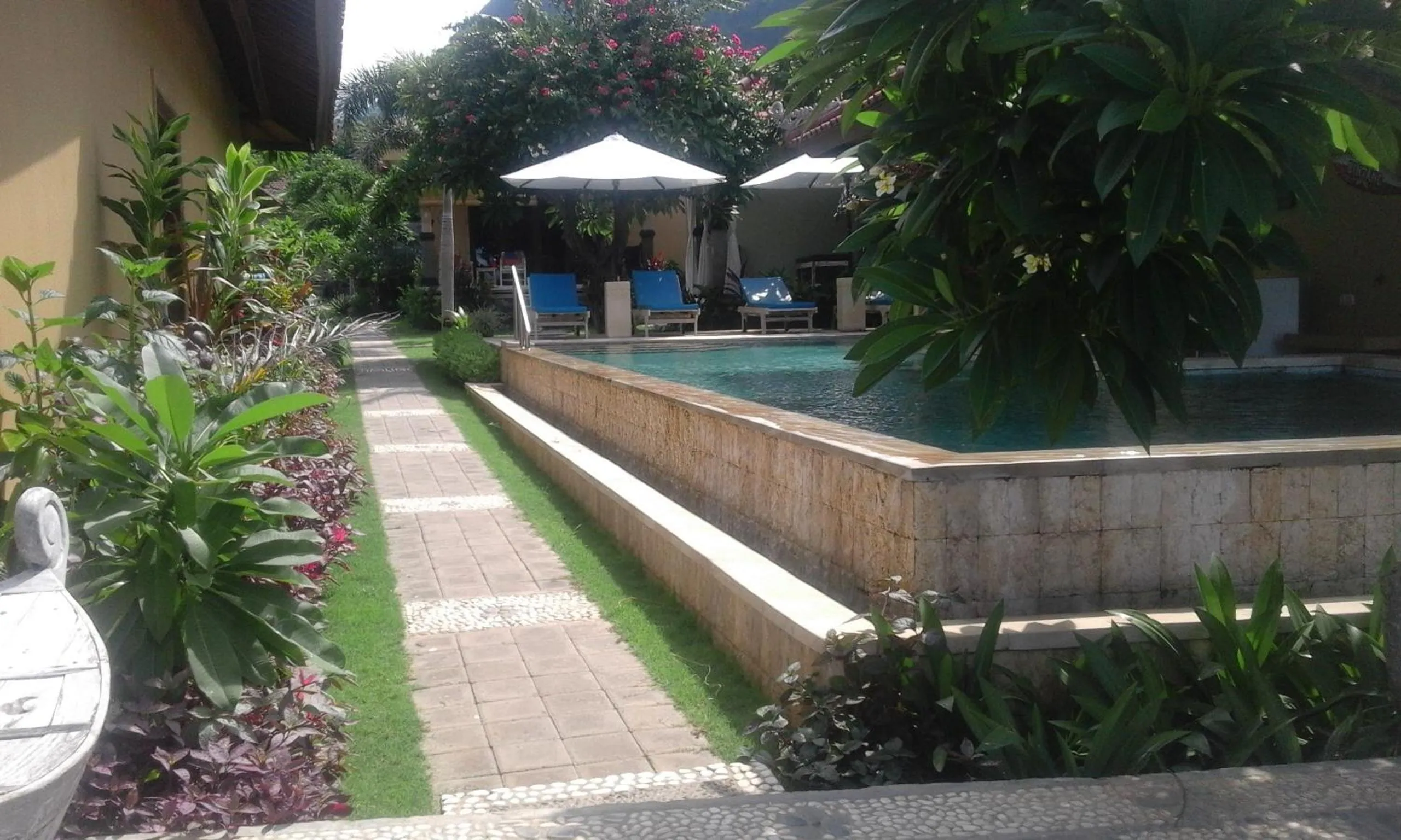 Pool view in Nalini Resort