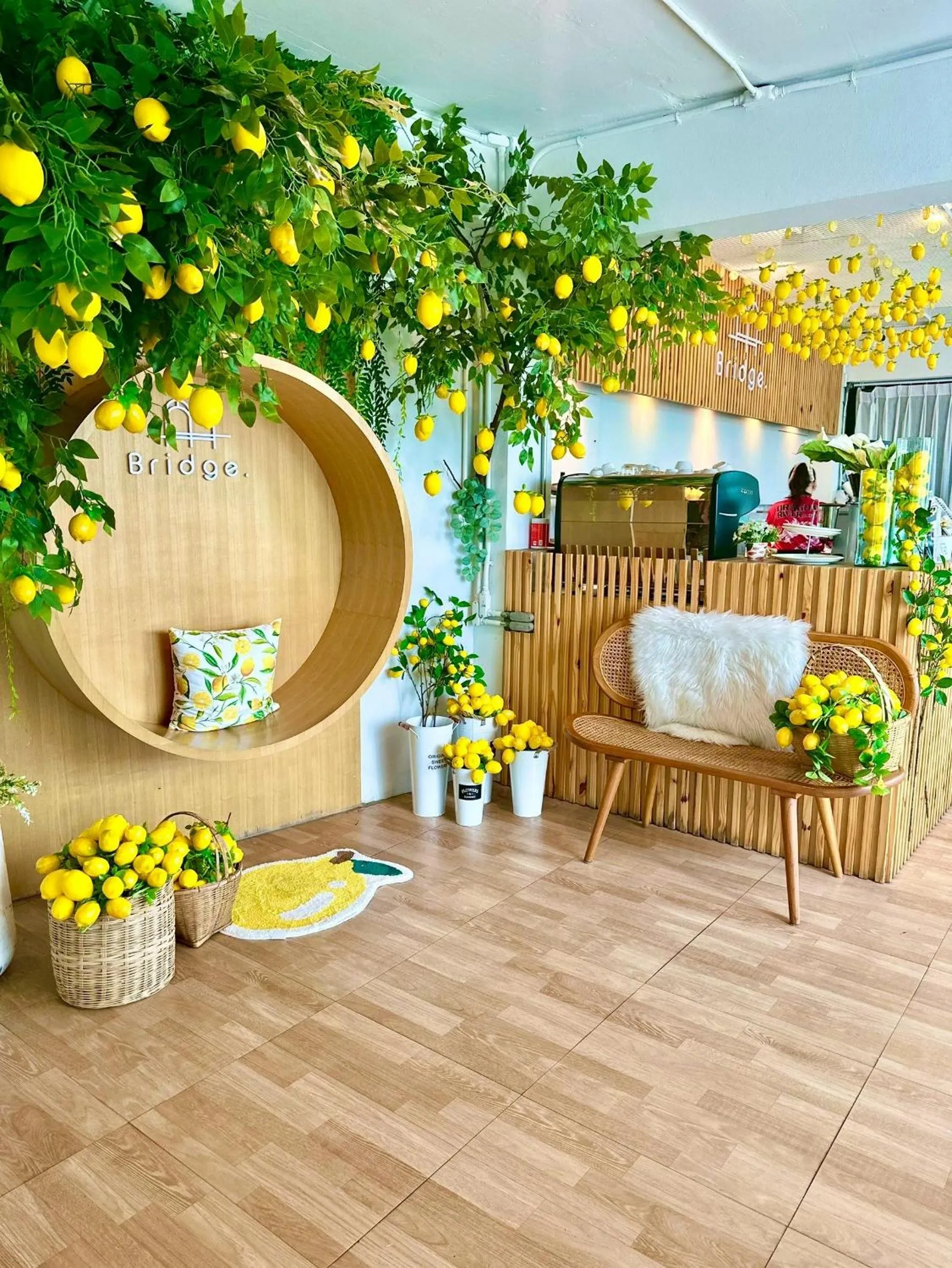 Restaurant/places to eat in Dragon River Avenue