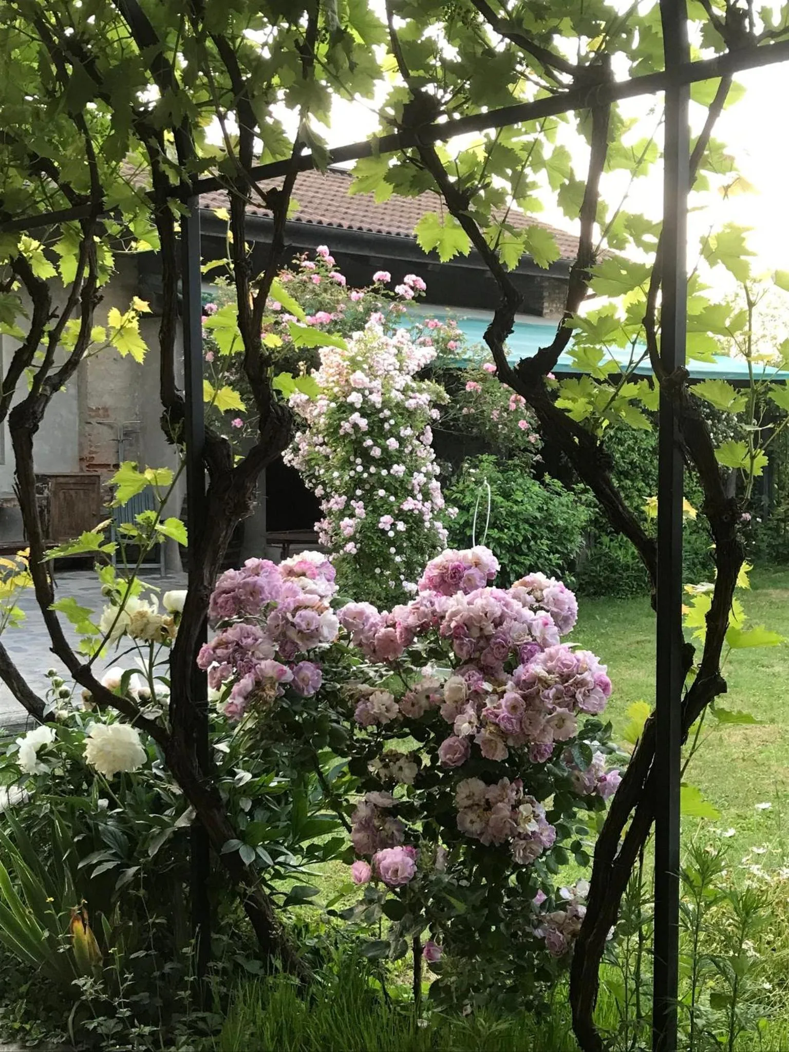 Garden view in B&B Cascina Marie